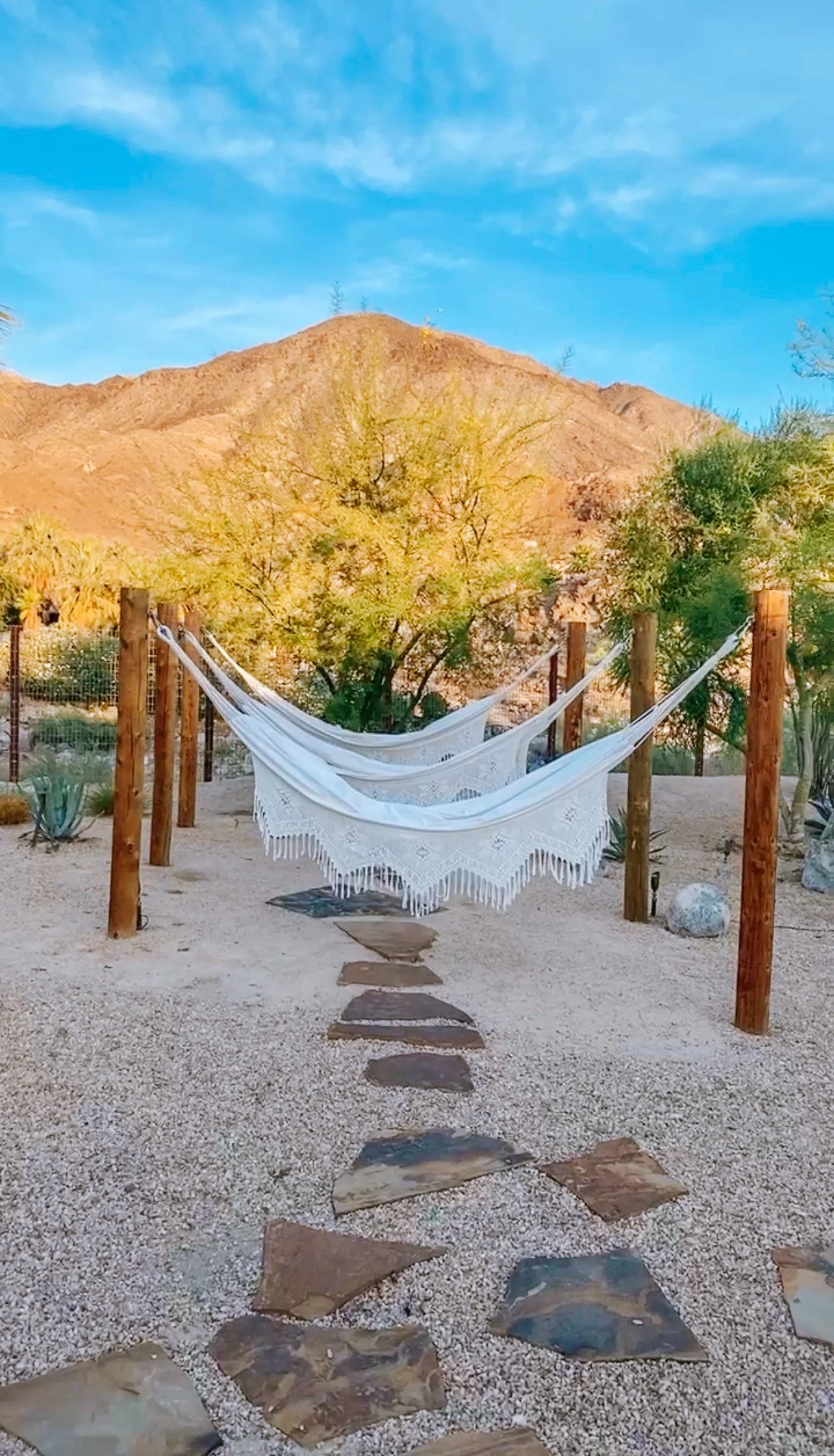 Afternoon nap in the hammock garden (Copy)