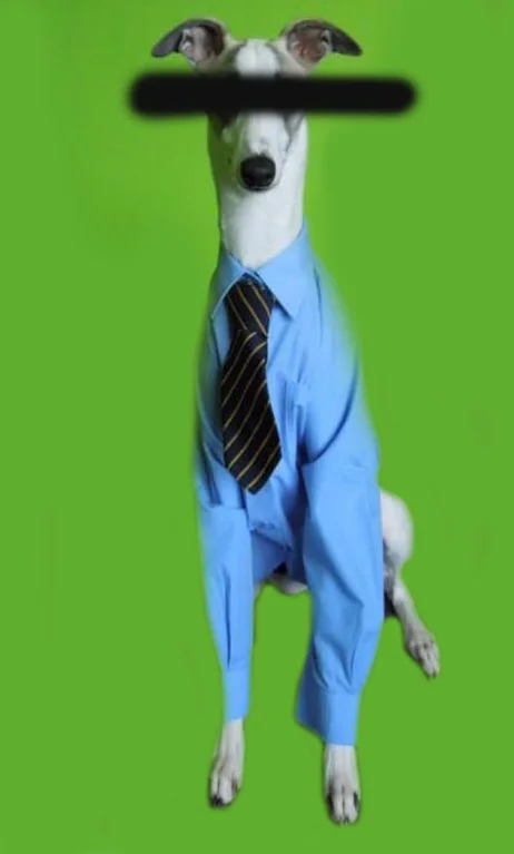 Spokes dog 'Al Satian'
