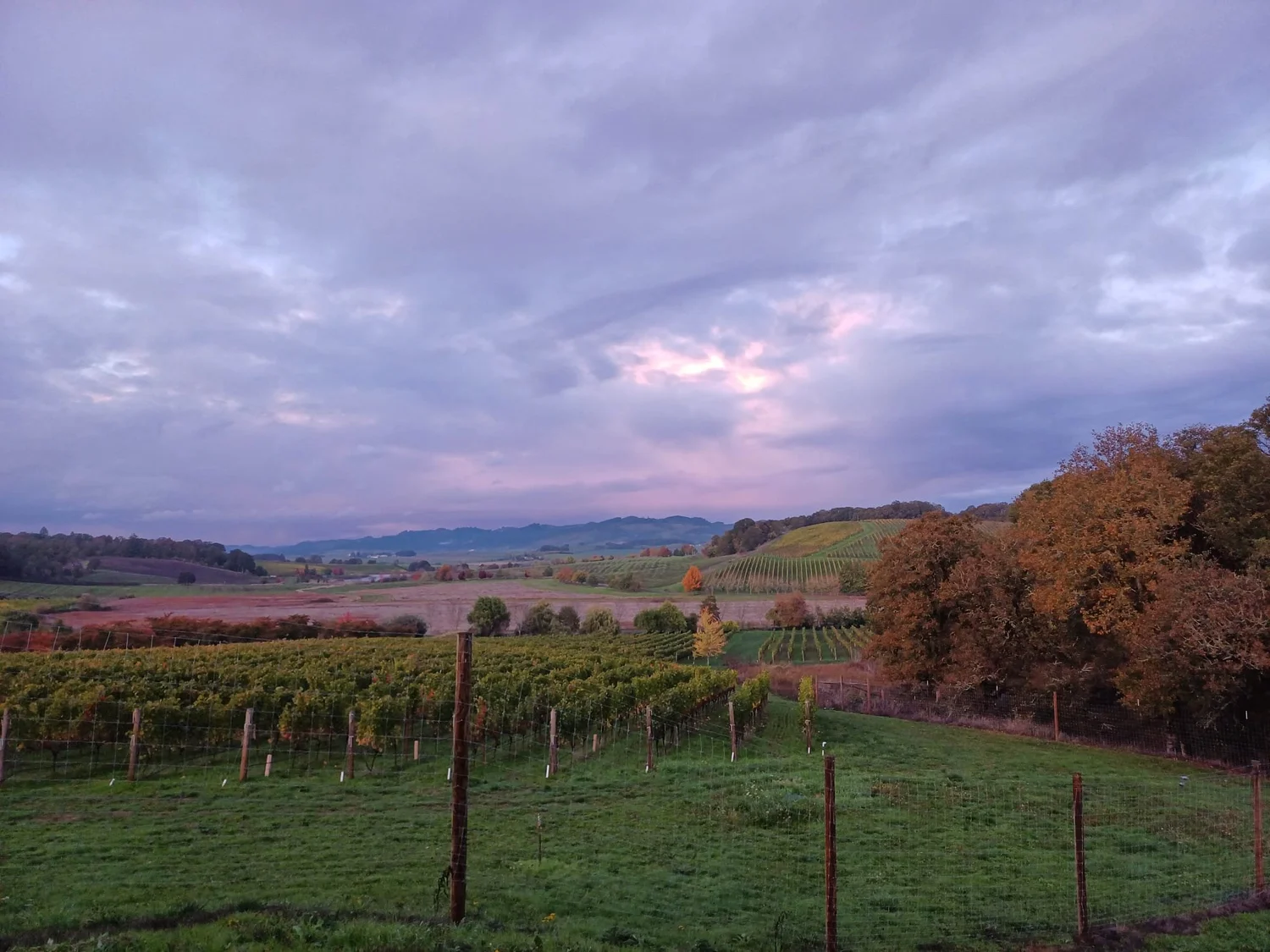 At Home with Left Coast — Left Coast Estate