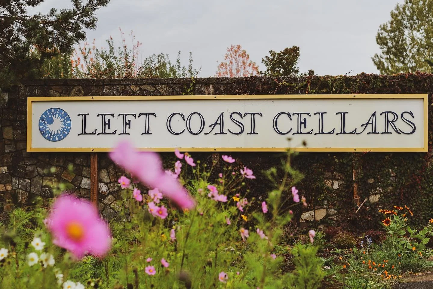 Peak Bloom at Left Coast