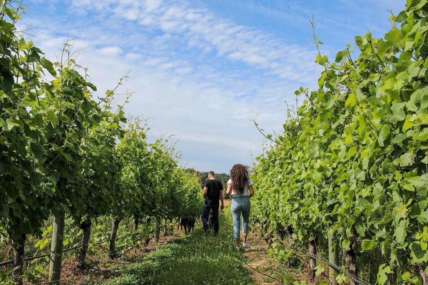 Memorial Day Weekend at Left Coast