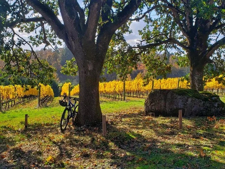 Legacy Club Oak Dedication