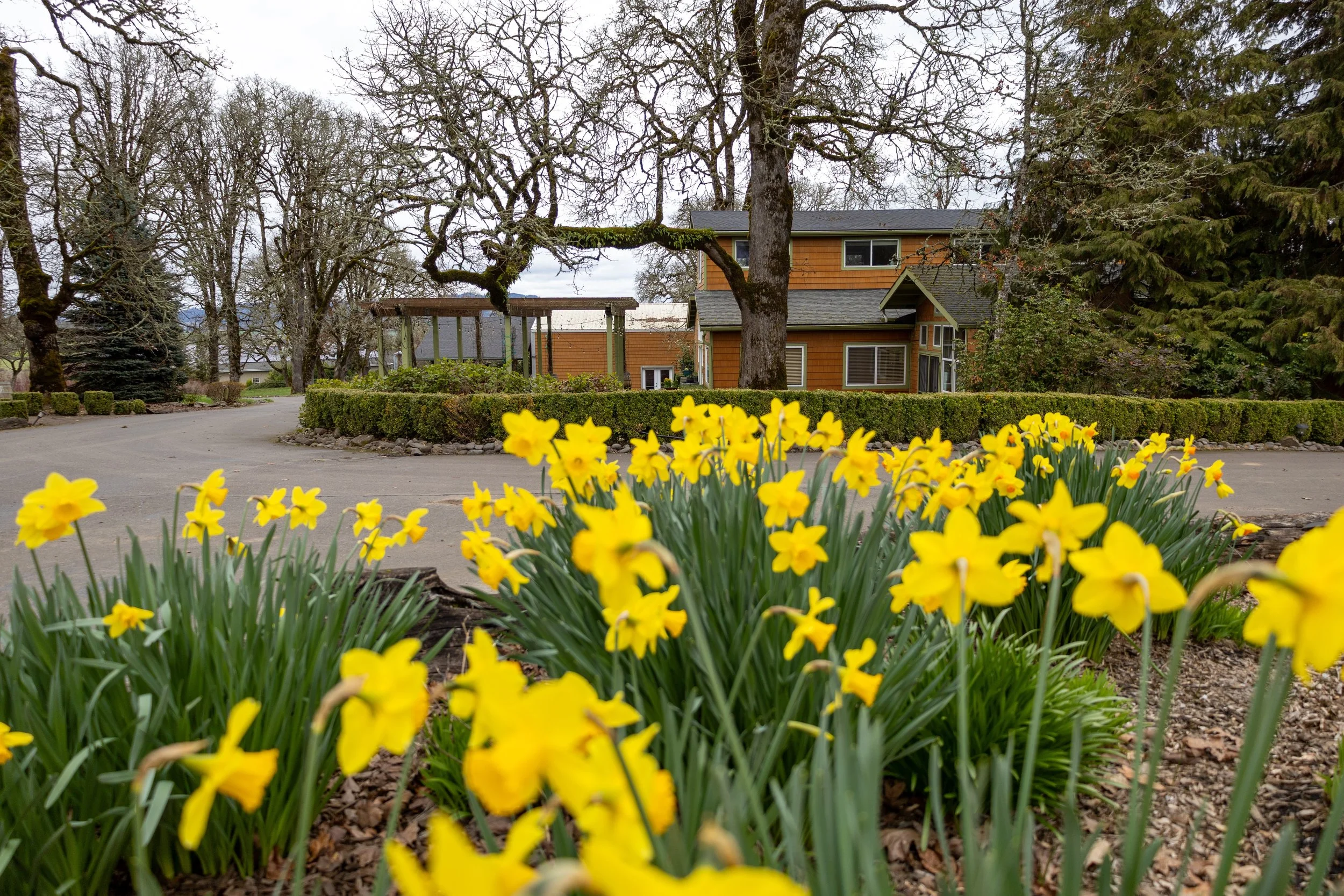 Spring Wine Club Release May 30th-31st