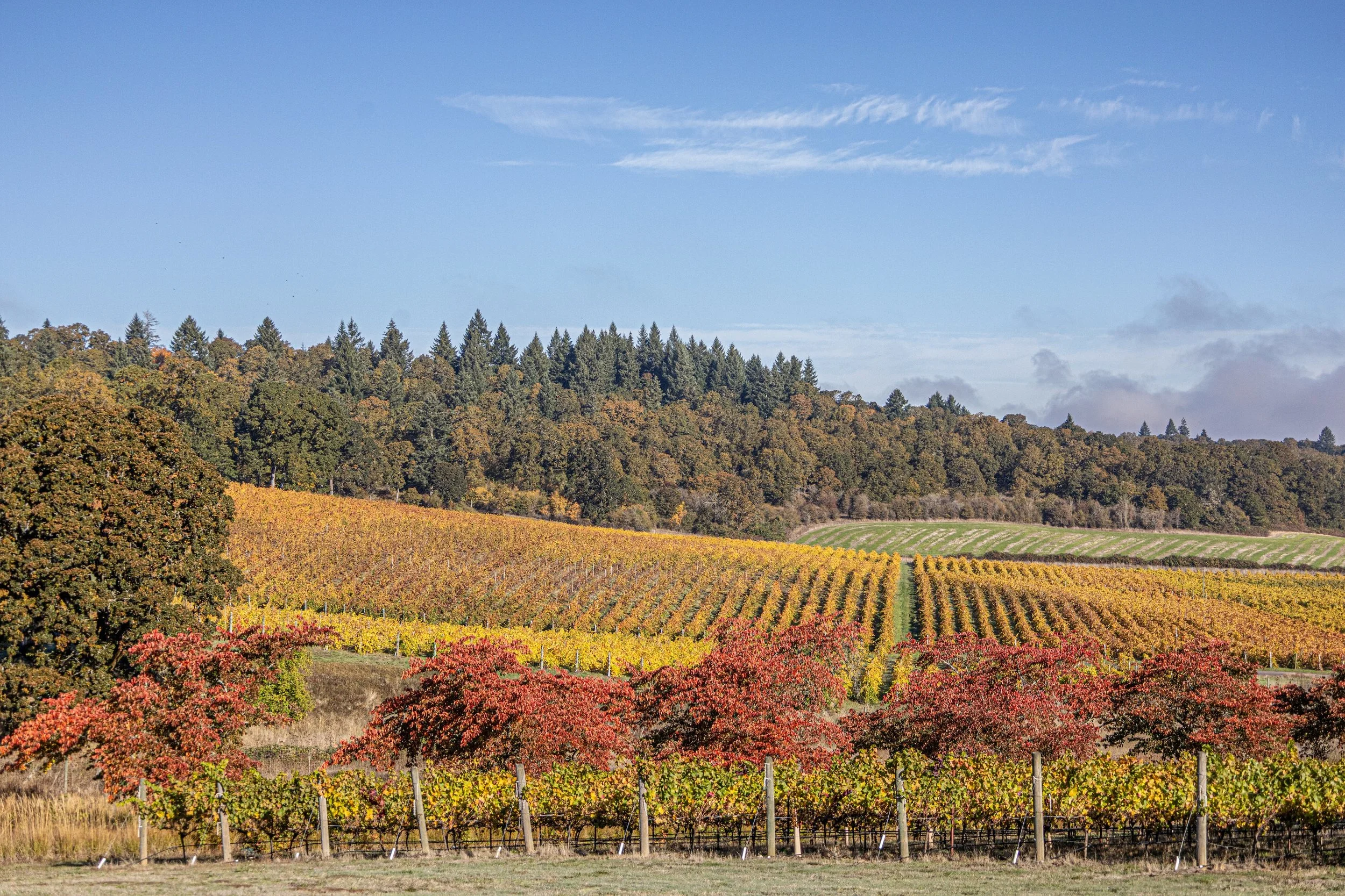 Fall Wine Club Weekend  