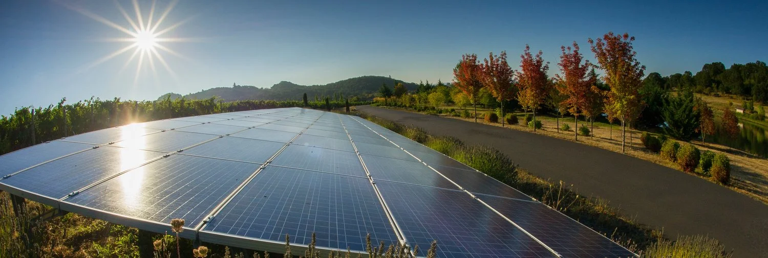 Solar Panels w:sun.jpg