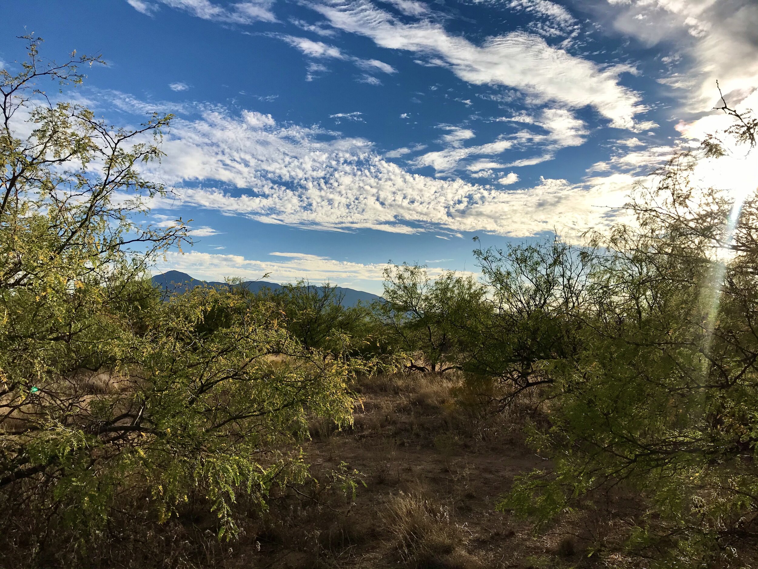 Looking South from our Place into Mexico