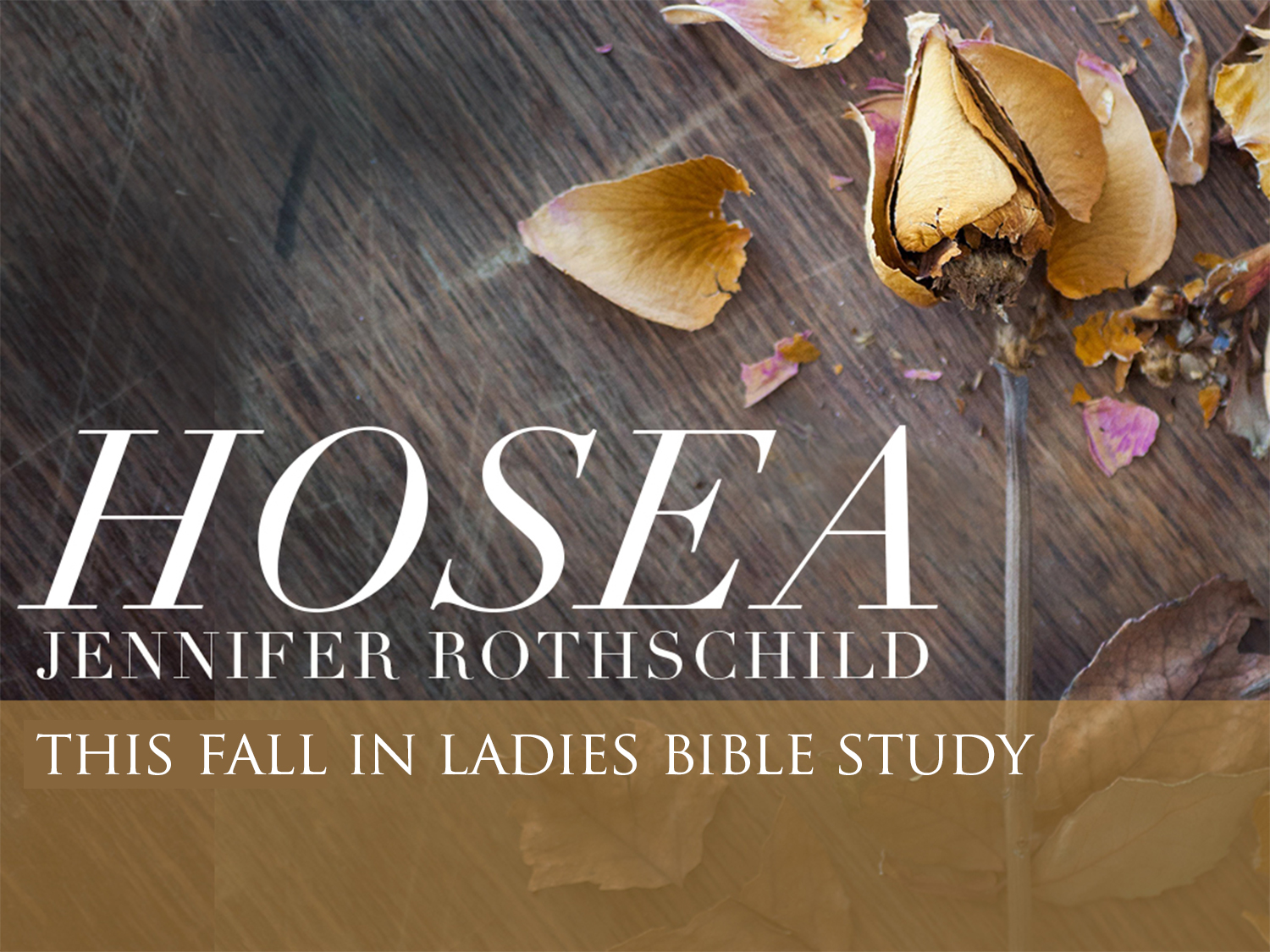 Ladies Bible Study