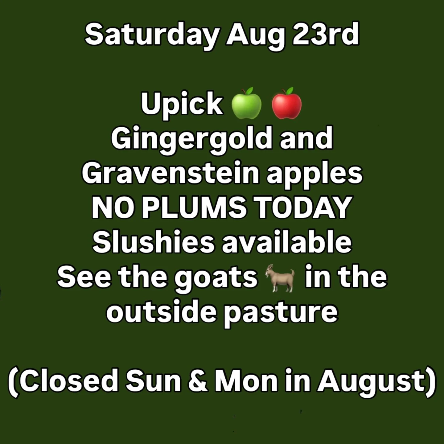 Open today 10-5:30. Upick Gingergold and Gravenstein apples only. No plums or pears until@next weekend. It&rsquo;s going to be another hot one 🥵. Come have a slushie!! Closed Sunday and Monday.
#local #abbotsford #upick #appleorchard #apples