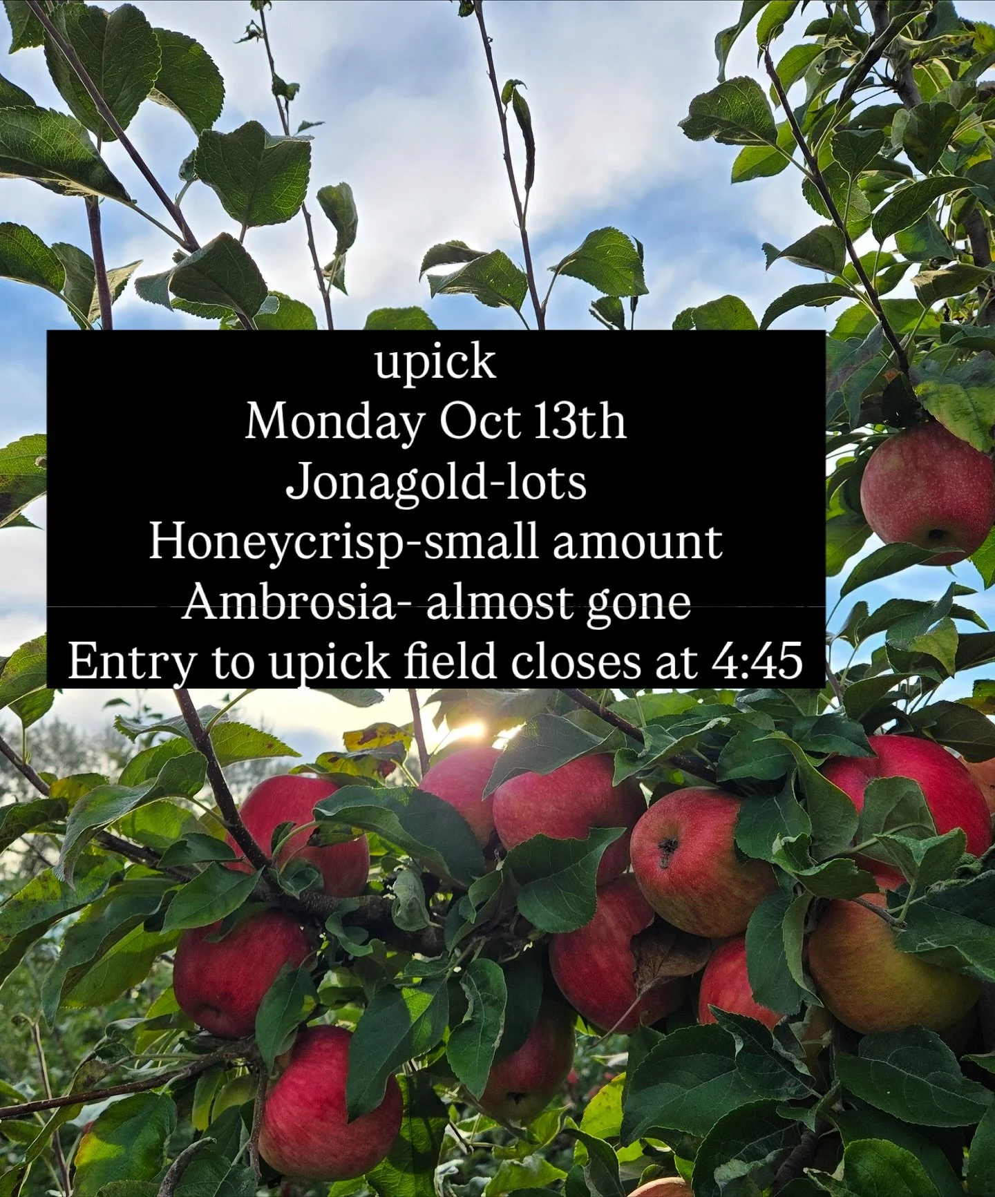 Open Holiday Monday 10-5:30. Entry to upick field closes at 4:45 - no exceptions.