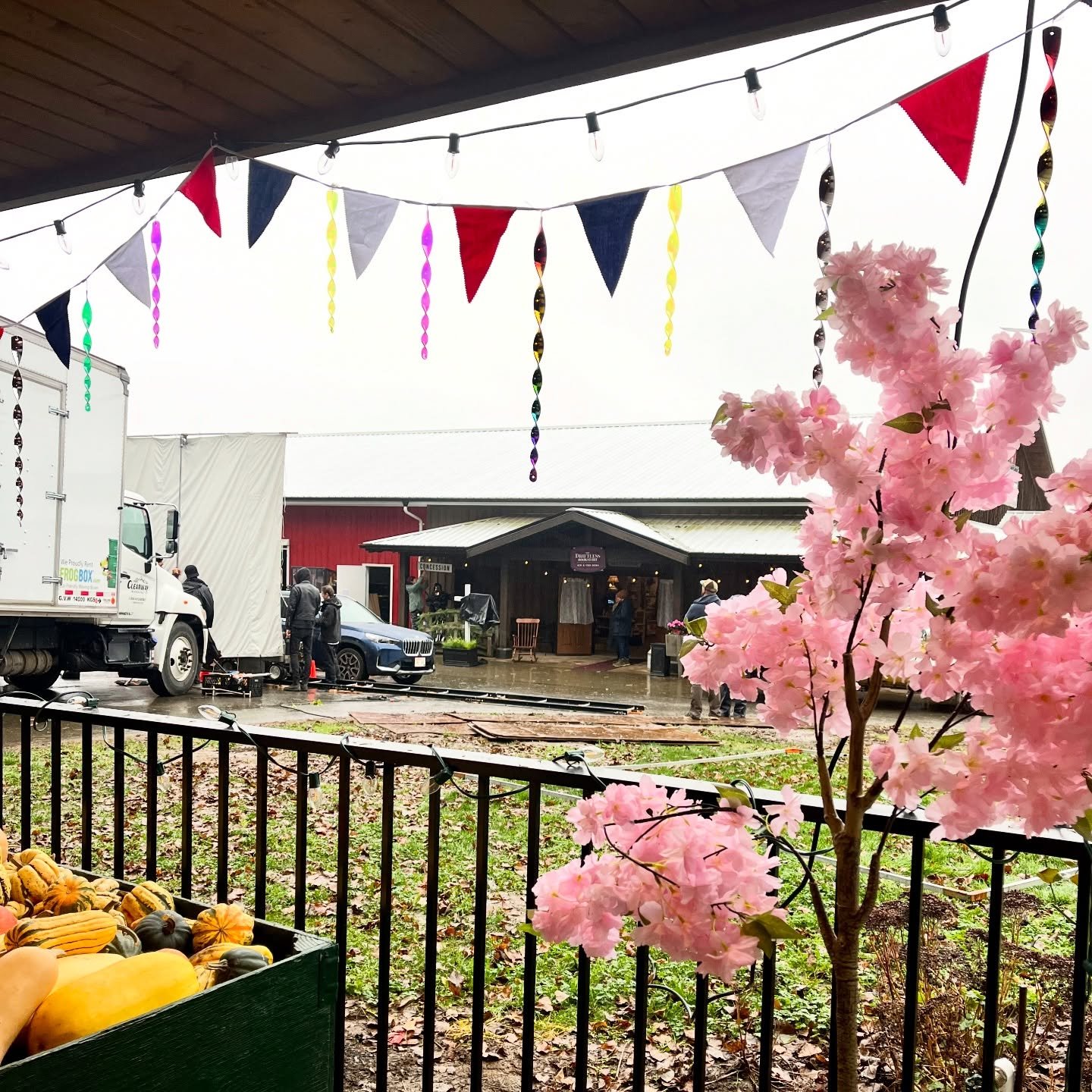 We are open today (Friday) 10:00-5:30pm. Apologies in advance for the inconvenience! There&rsquo;s a lot going on today. They are now filming 🎥 in the big store and things are a bit upside down. I am back in the small store under the patio. Right no