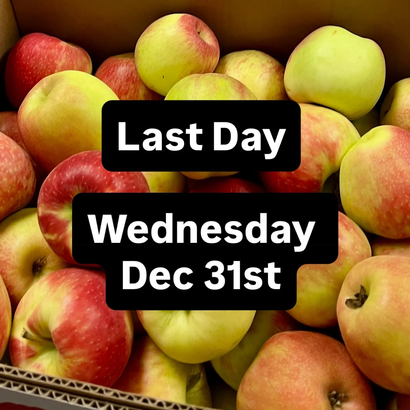 We are open tomorrow 10-5:30. It will be the last day for fresh apple sales and fresh cider until we reopen next August. We have Honeycrisp and a very small amount of Elstar.
Wenwill be closed for the season as of Jan 1st.