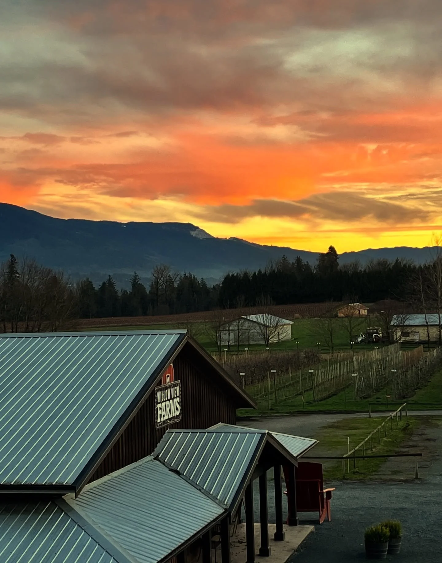 The sun has set on another harvest season and we are now closed. Thank you for supporting local farms. See you in August 2026 🍎