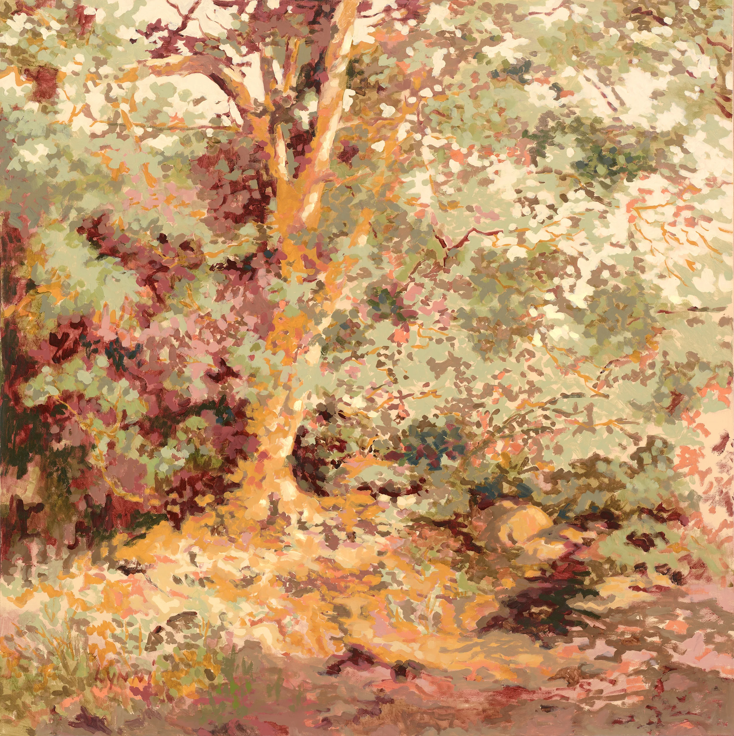 Sycamore Splash.jpg