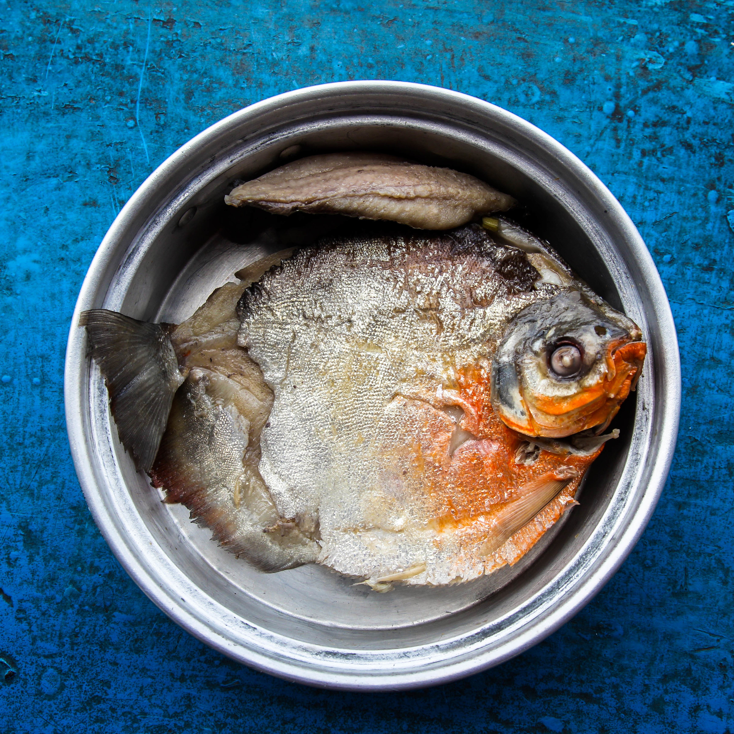 Grilled piranha for lunch.