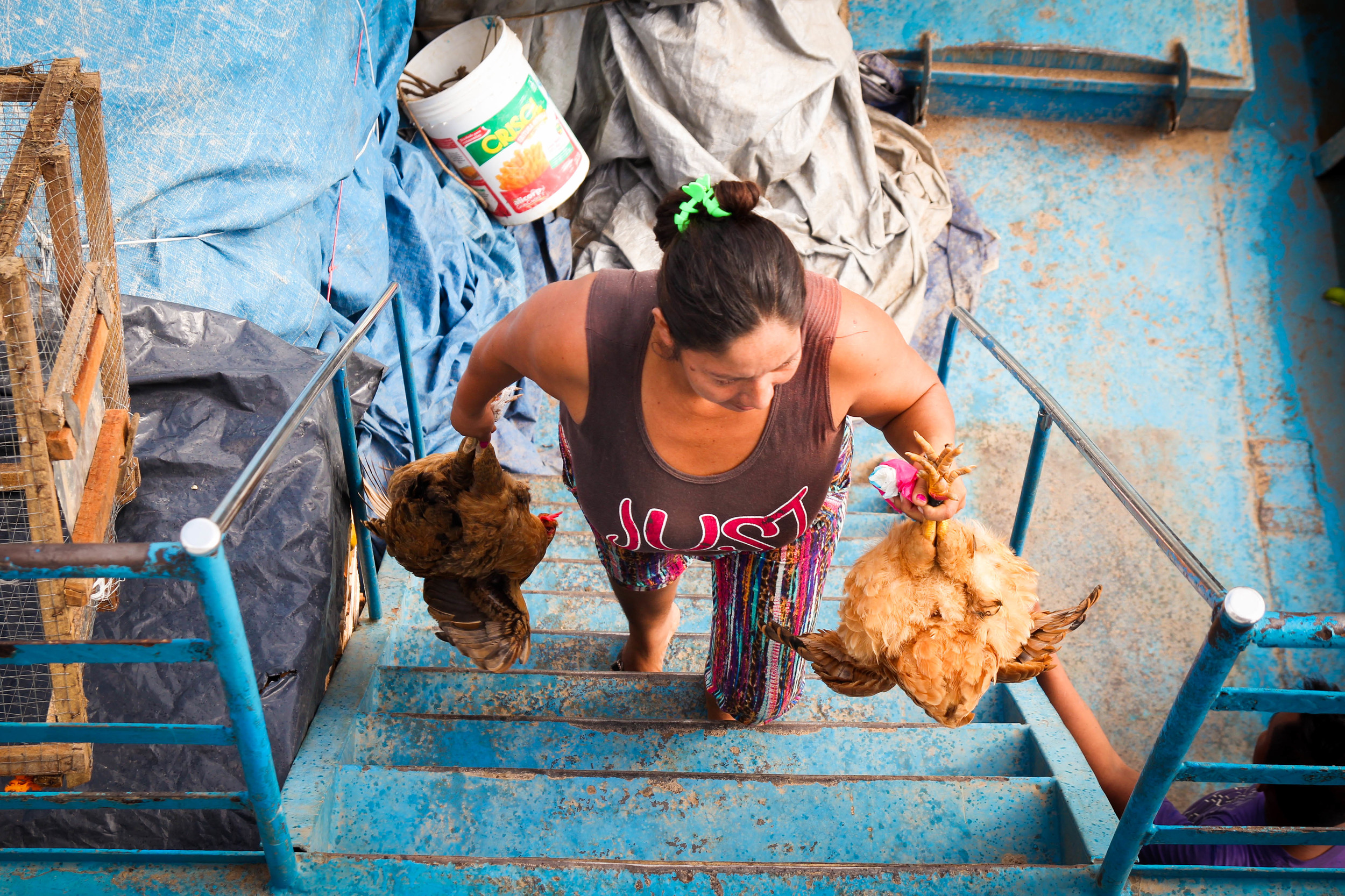 Woman in a port town bringing dinner (two chickens) onto the boat.