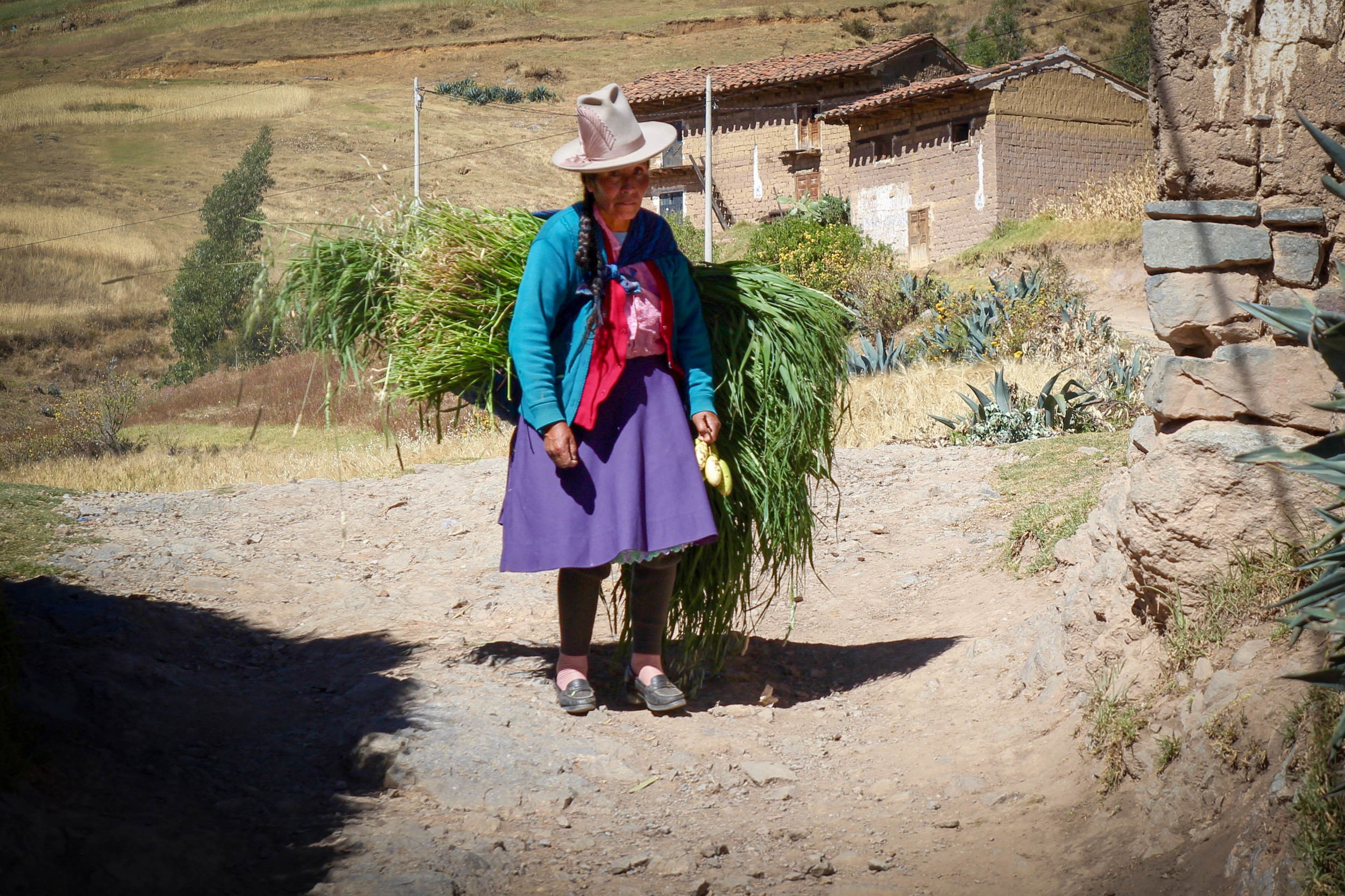 Woman walking up the Cordillera Negra with crops from her farm.