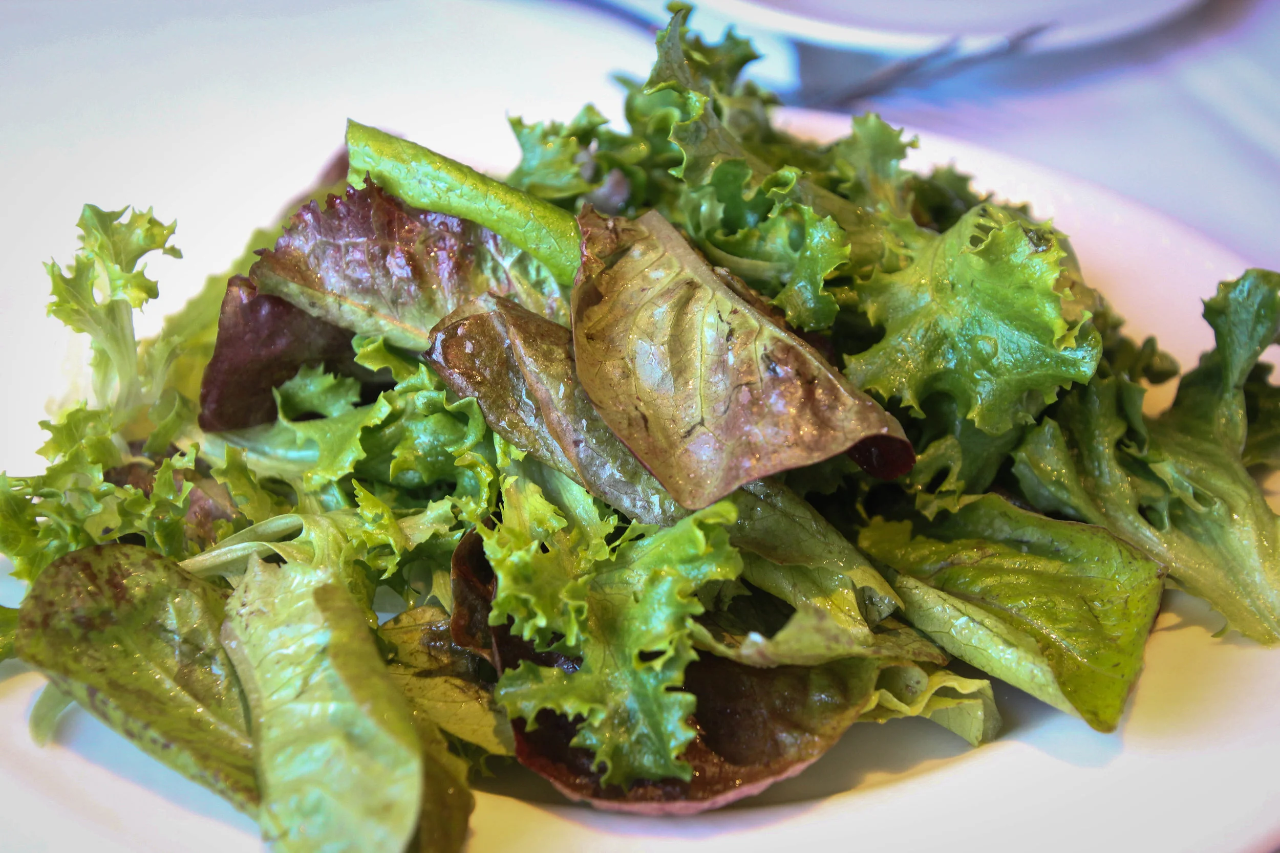Garden lettuces with vinaigrette