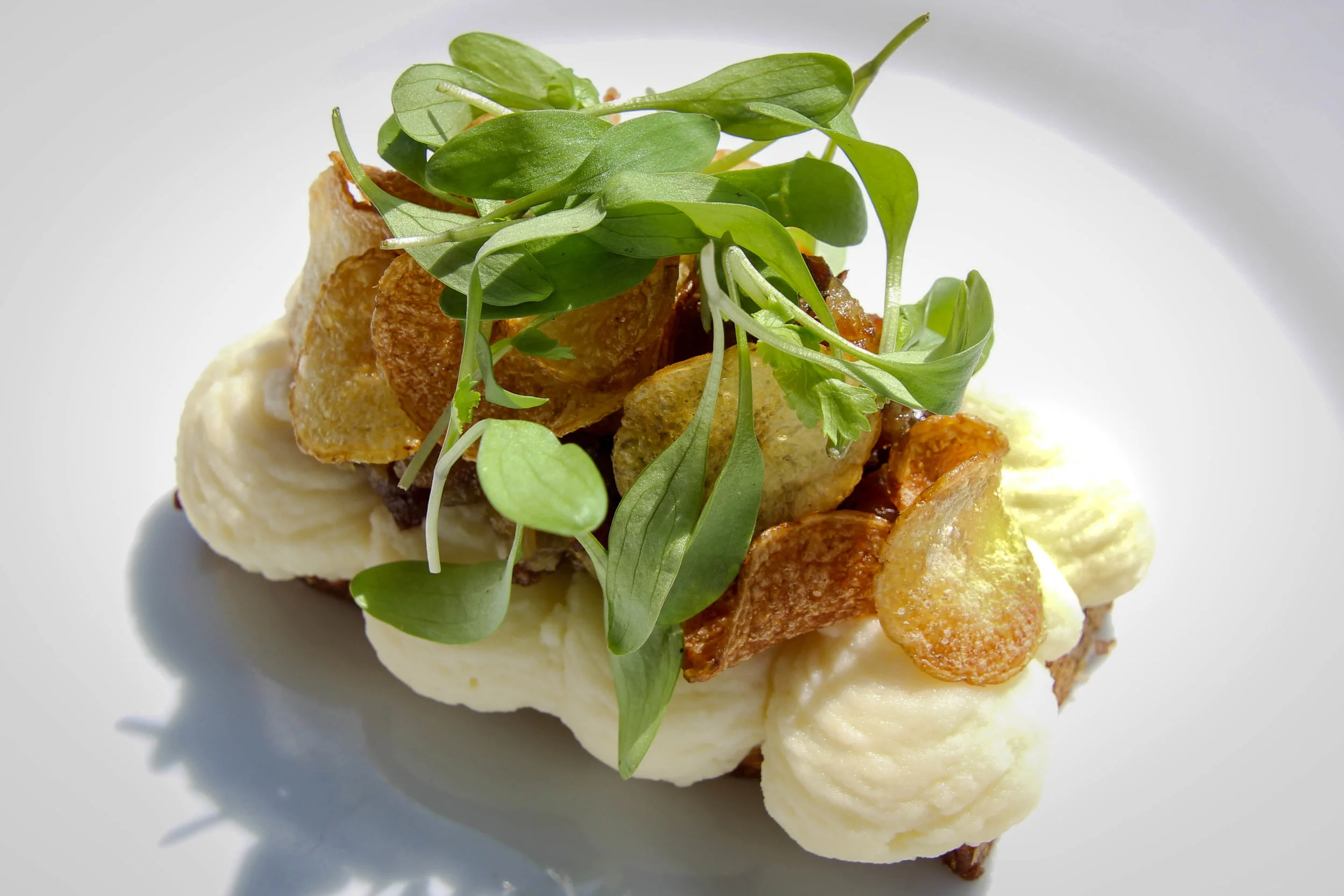  "Burning love" (beef and mashed potatoes) with bacon and coriander