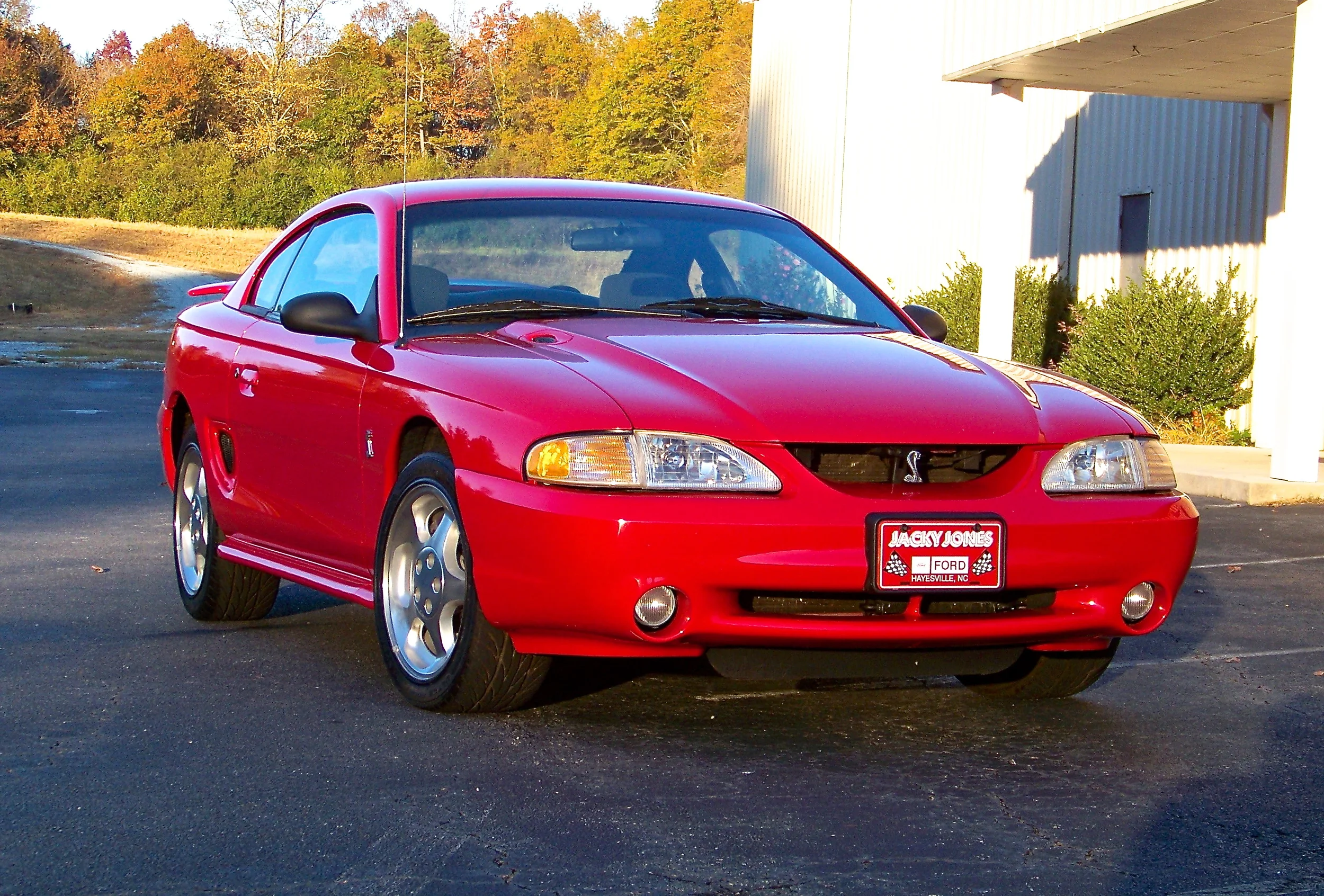 100_4302.JPG