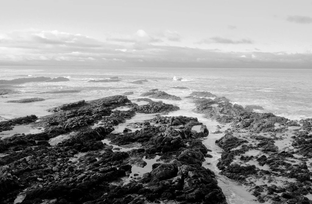 Rocky Coast, Portrush