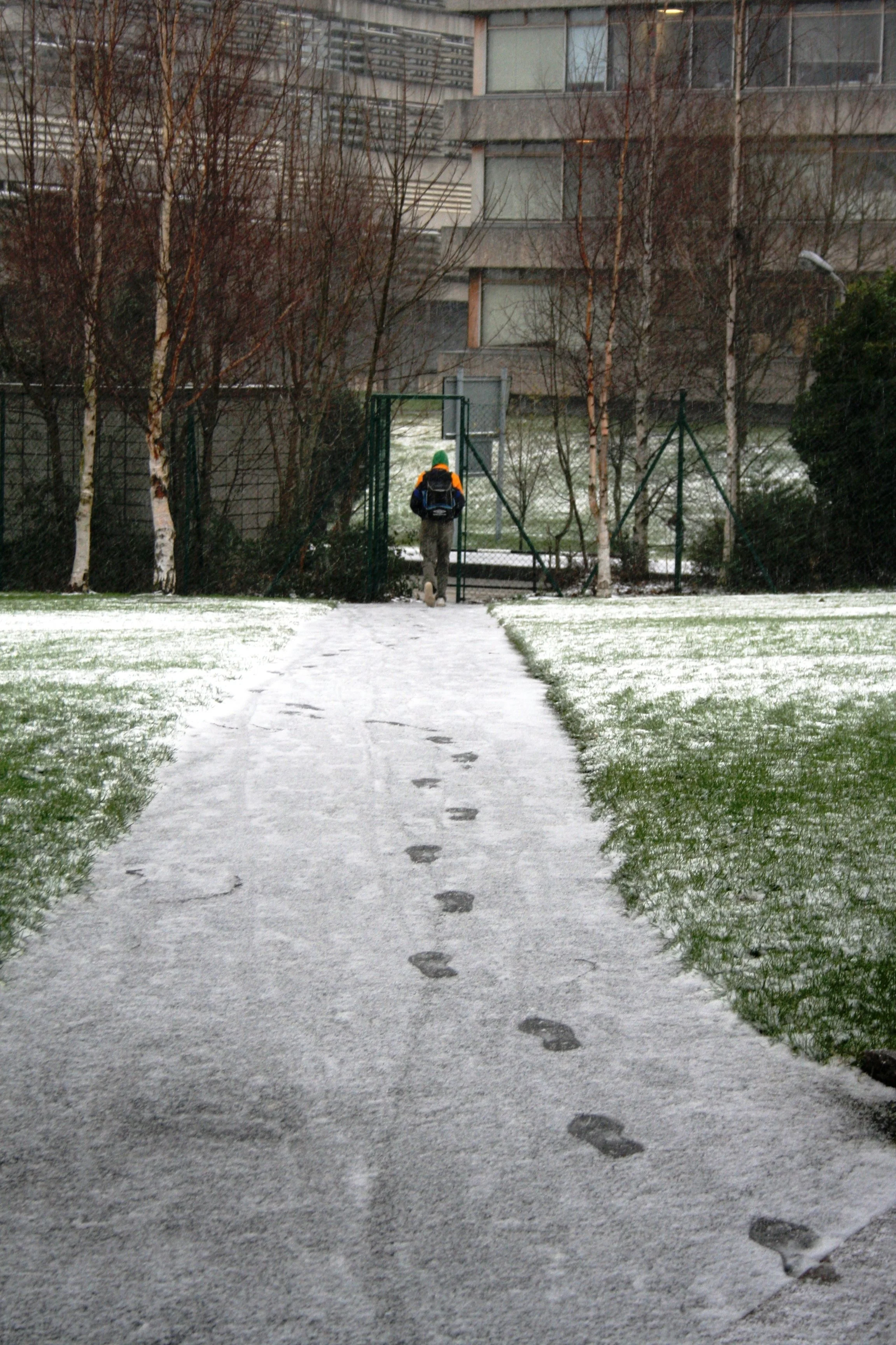 20090606.jpg