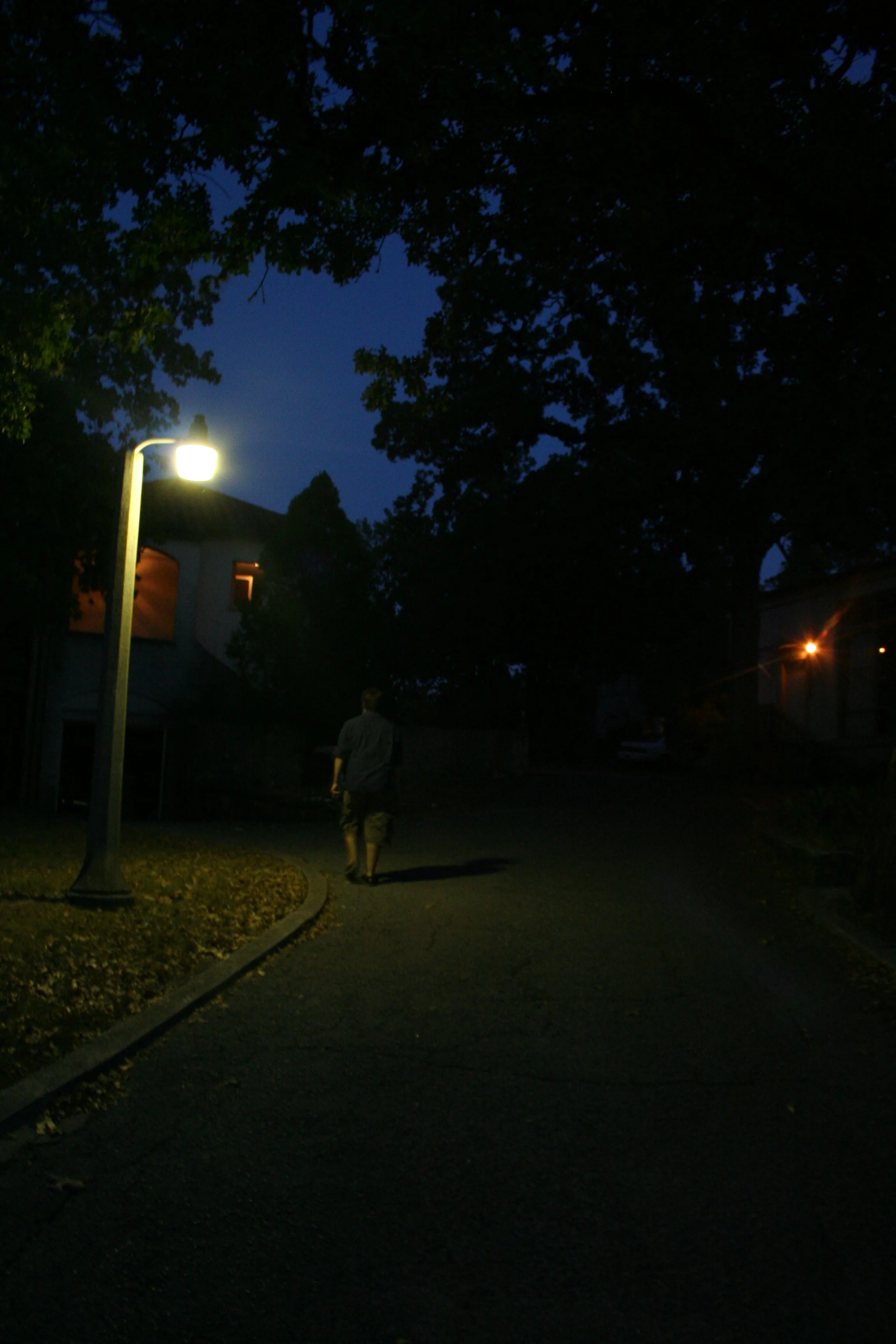 20096451.jpg