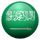 sa.png