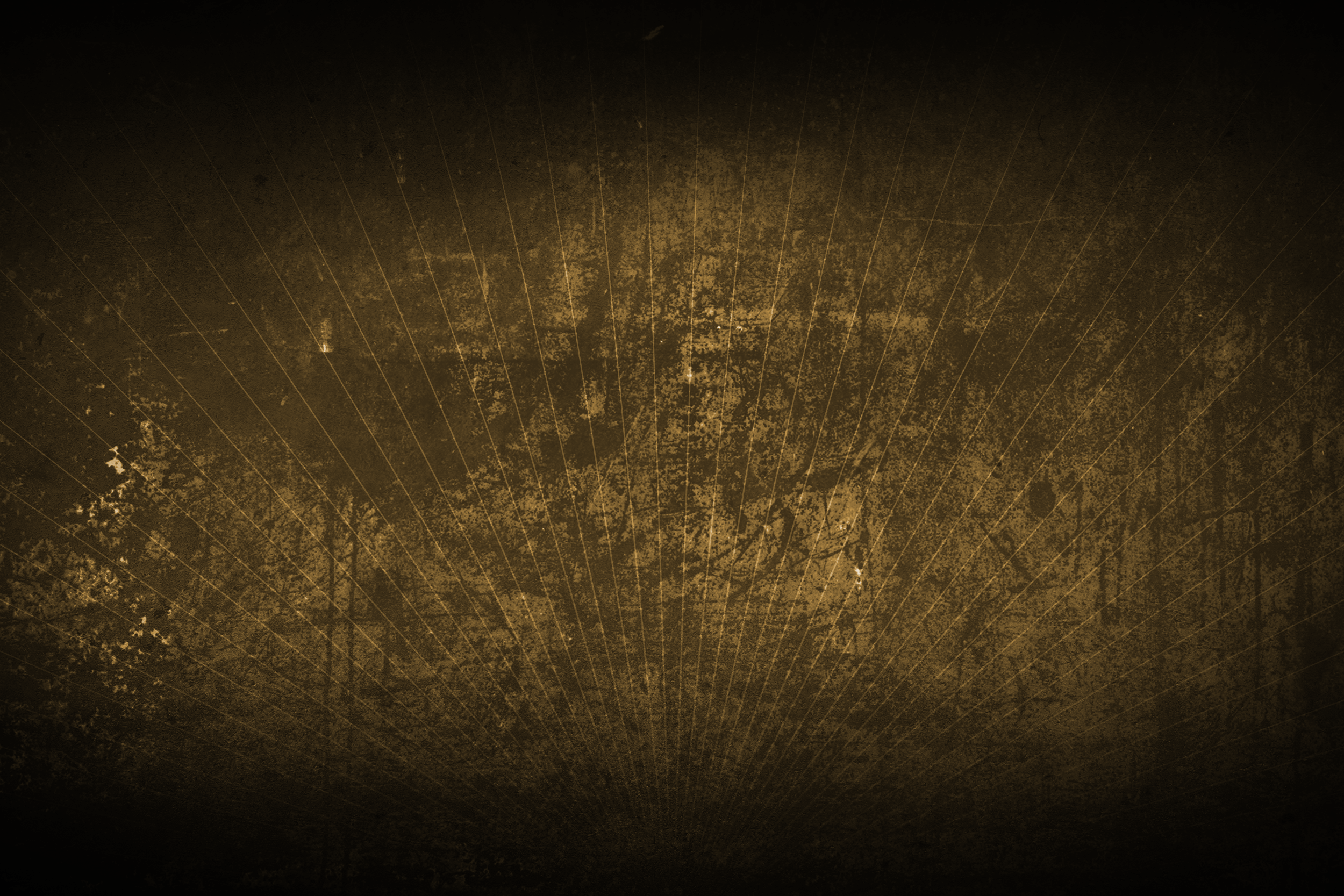 m3e.header.bay.png