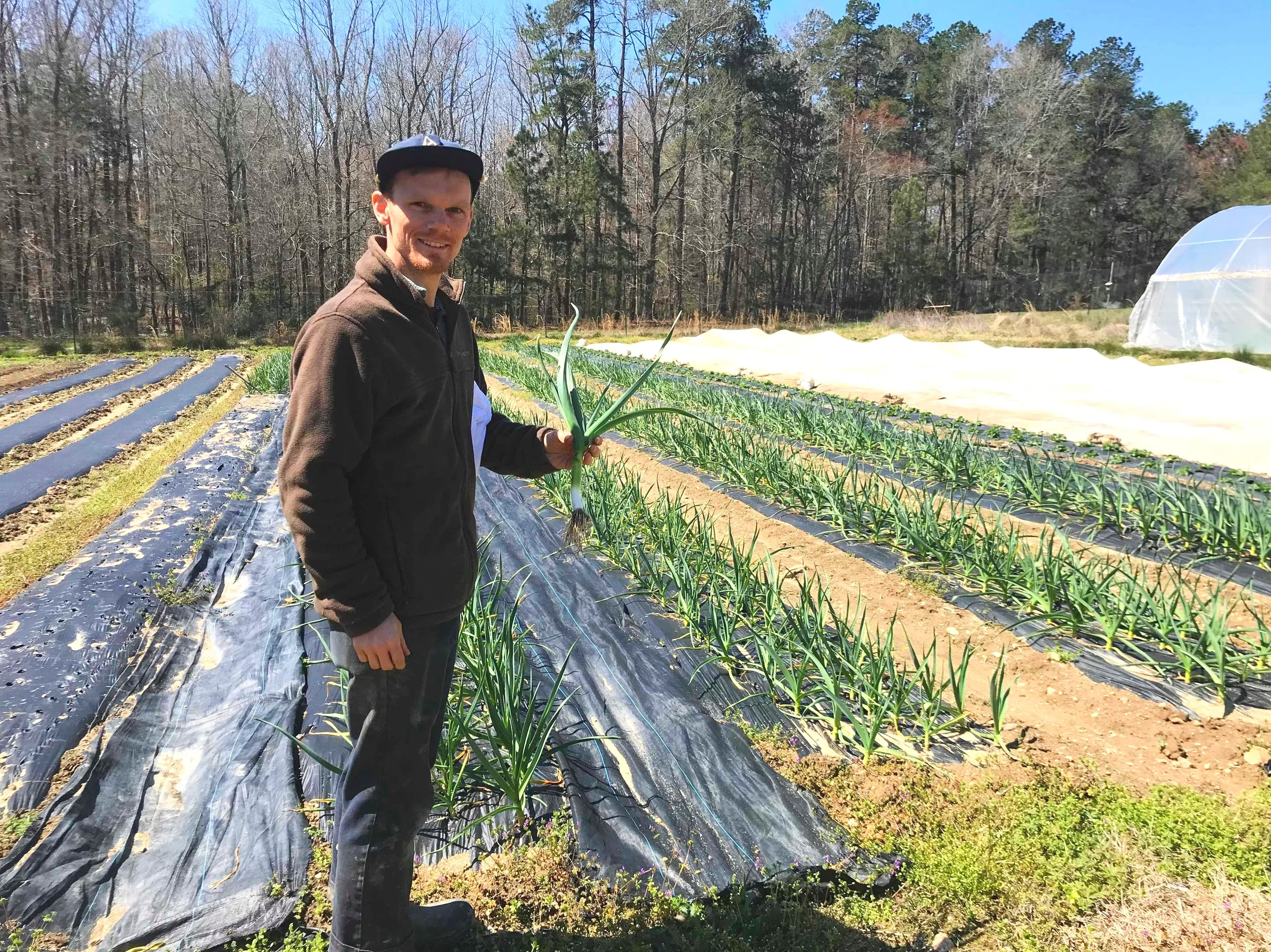 Dave holding his specialty garlic!