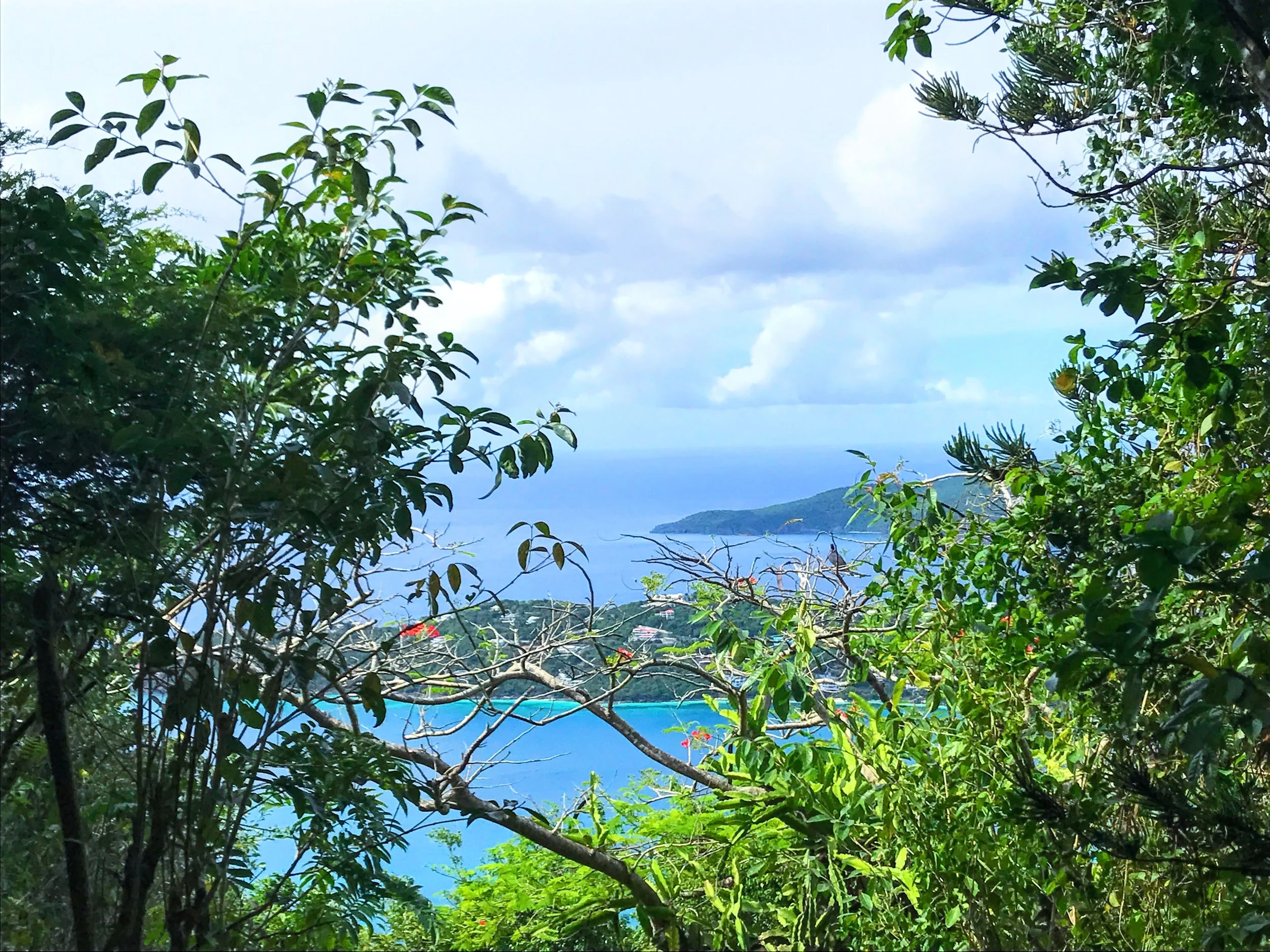 Love this view from this botanical garden
