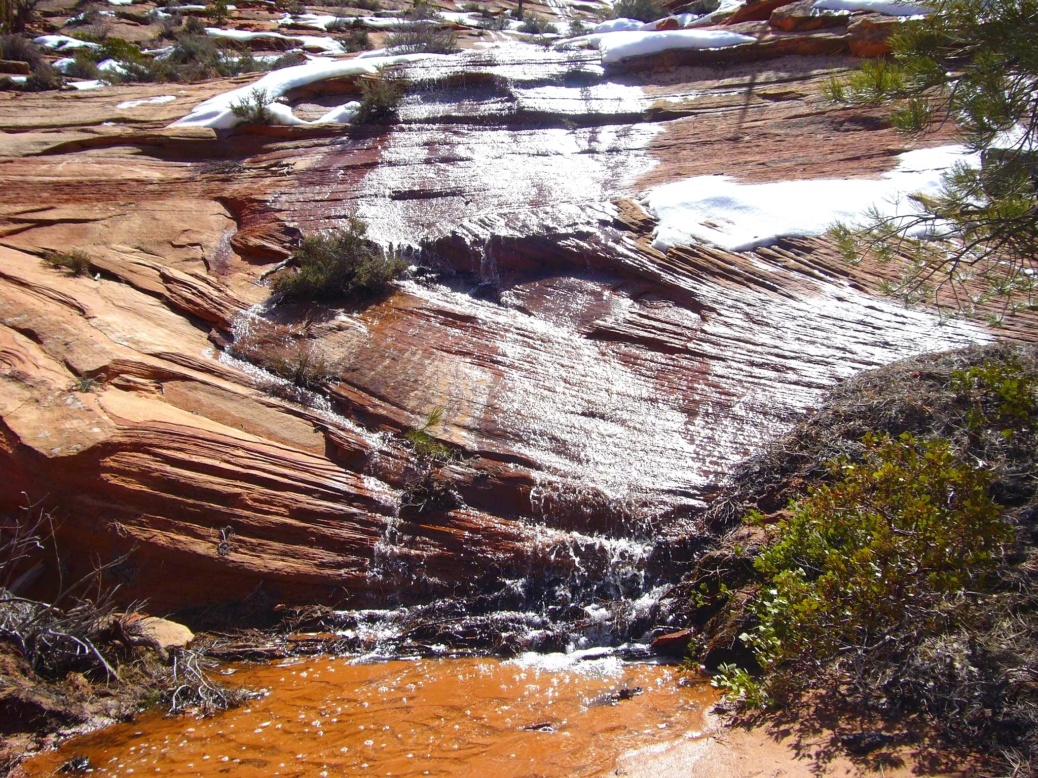 Zion National Park - still snow on the ground