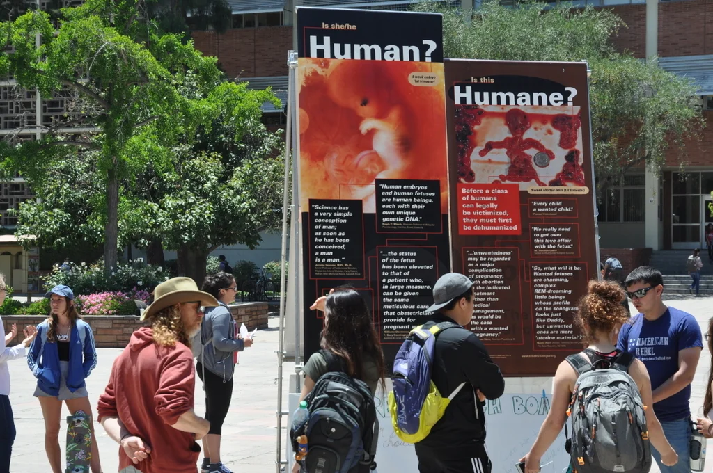 The University of California, Los Angeles (UCLA) - May 2017