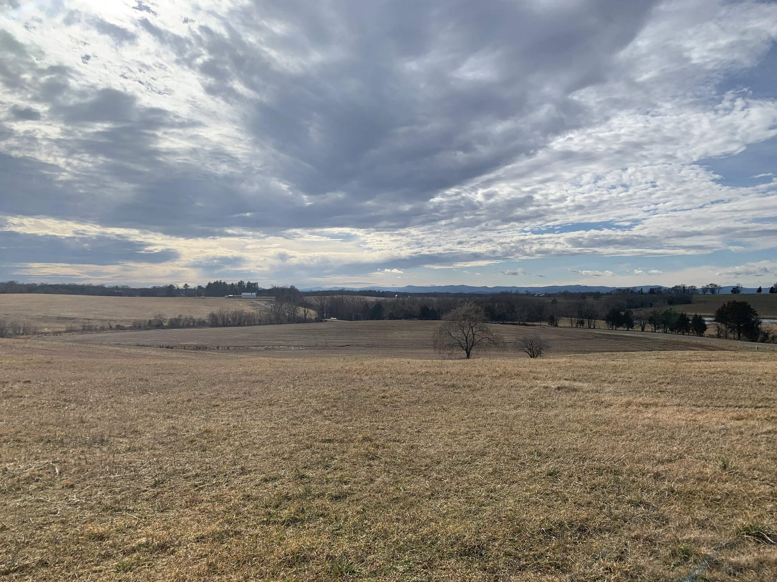 I found him gazing into the sky