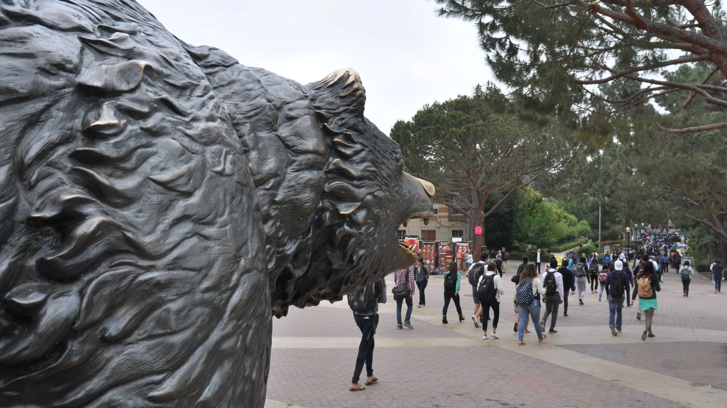 Lightbulb in Los Angeles