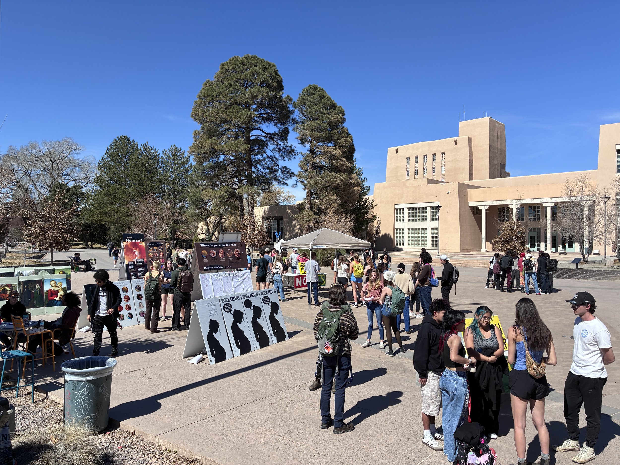 "I...would do this every single day."