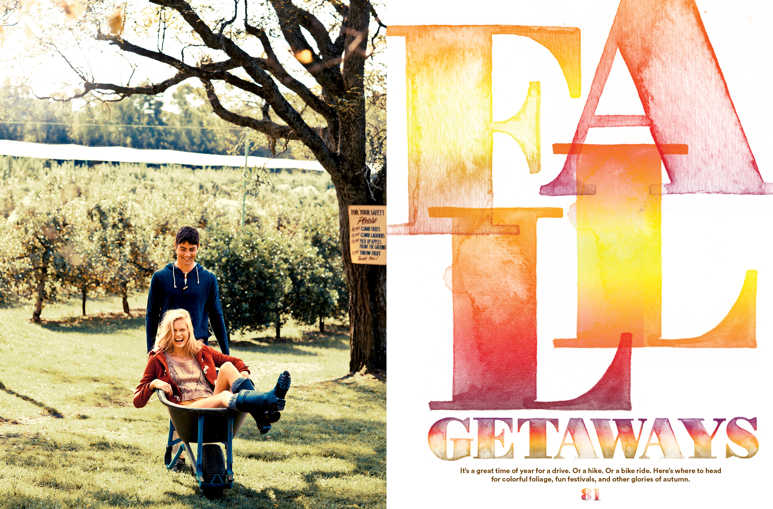 fall.layout.png