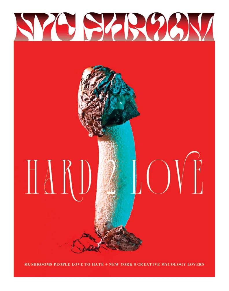 mushroom magazine_rough2.jpg