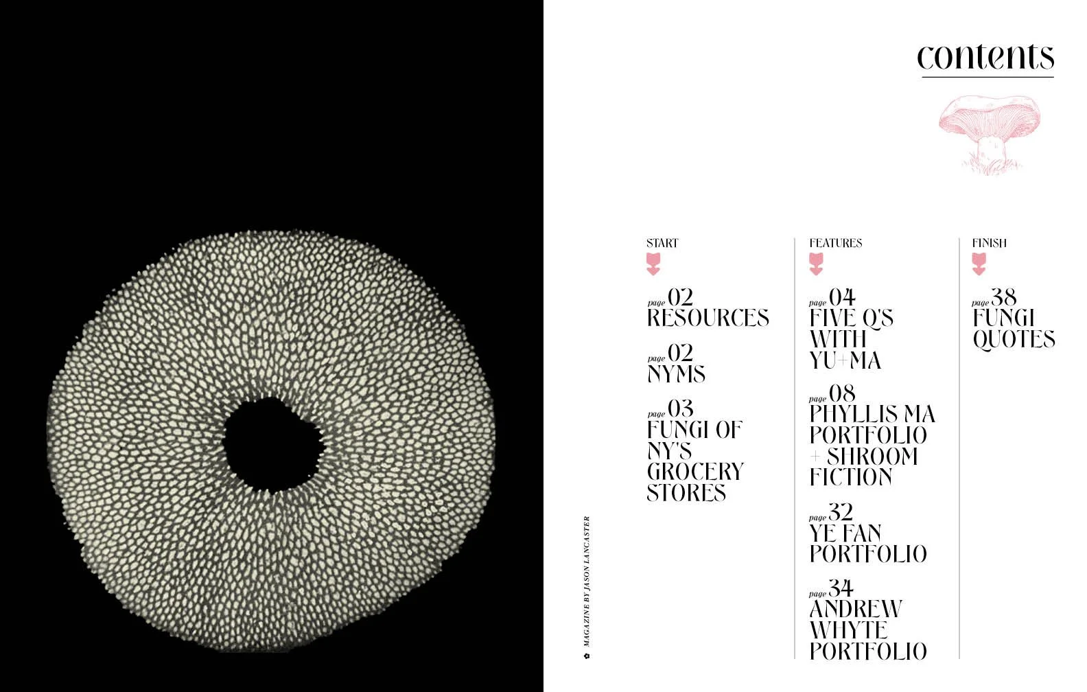 mushroom magazine_rough22.jpg