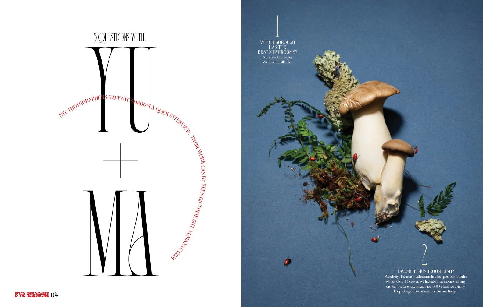 mushroom magazine_rough24.jpg