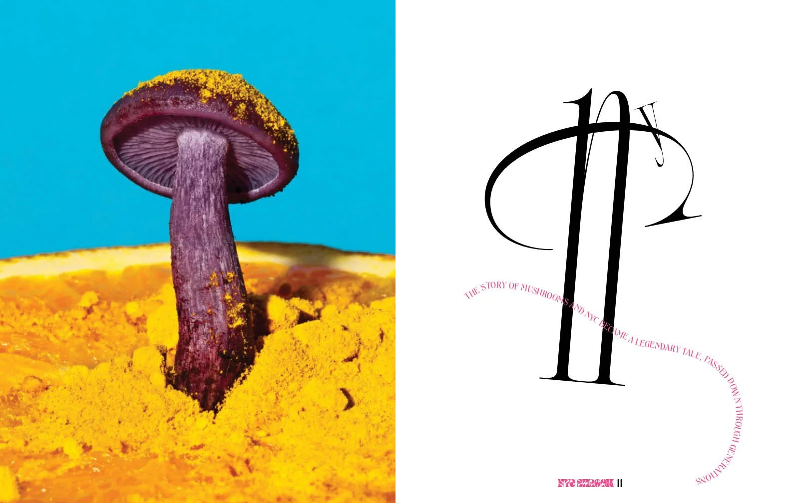 mushroom magazine_rough27.jpg