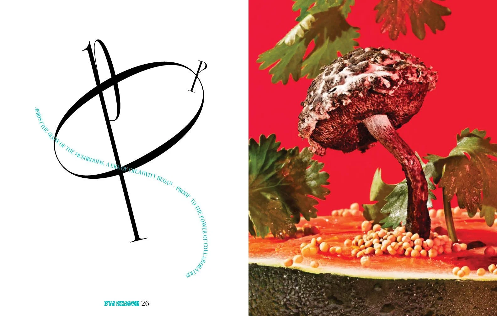mushroom magazine_rough215.jpg