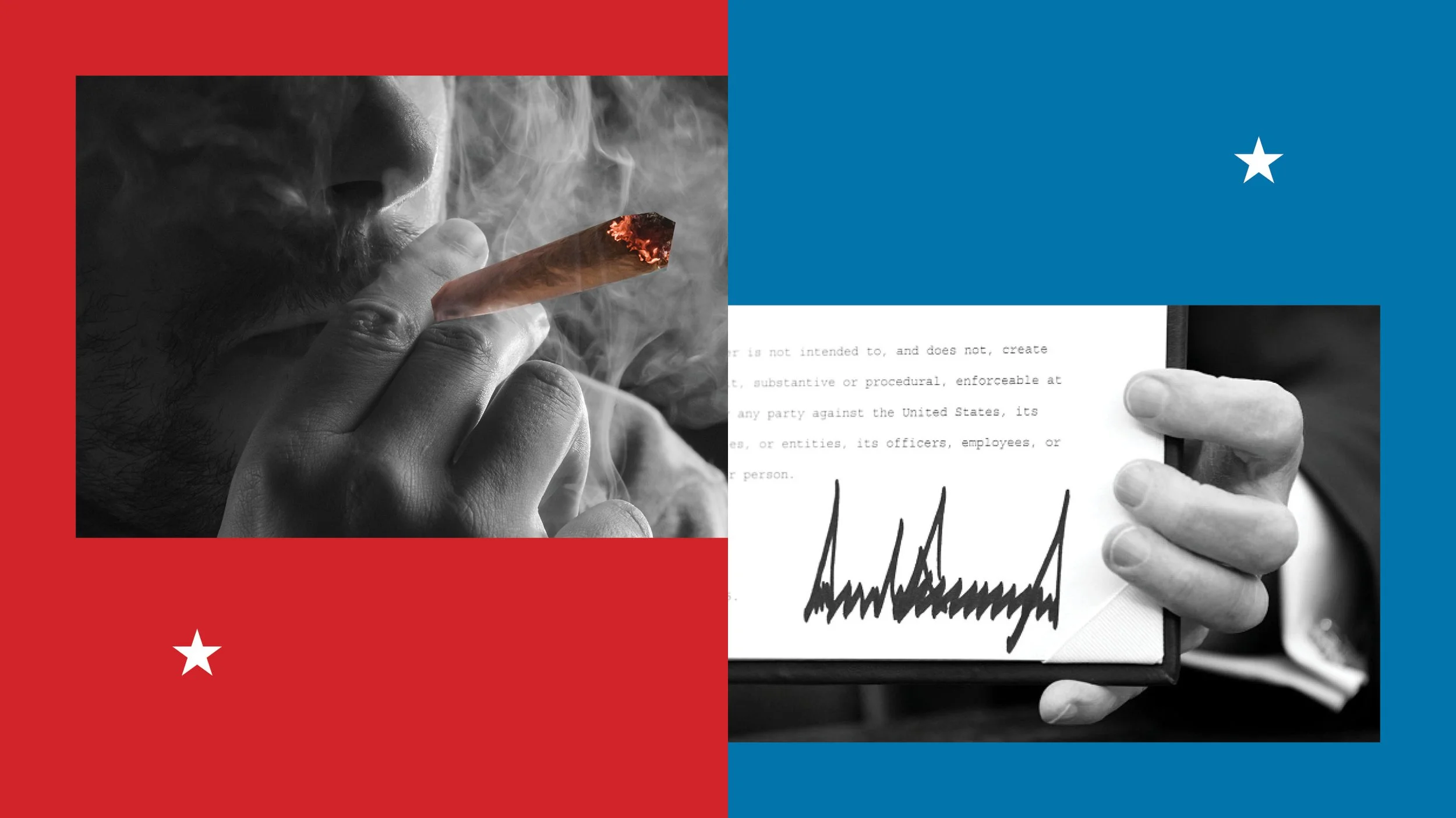 202508009-Trump-Marijuana-roughs18.jpg