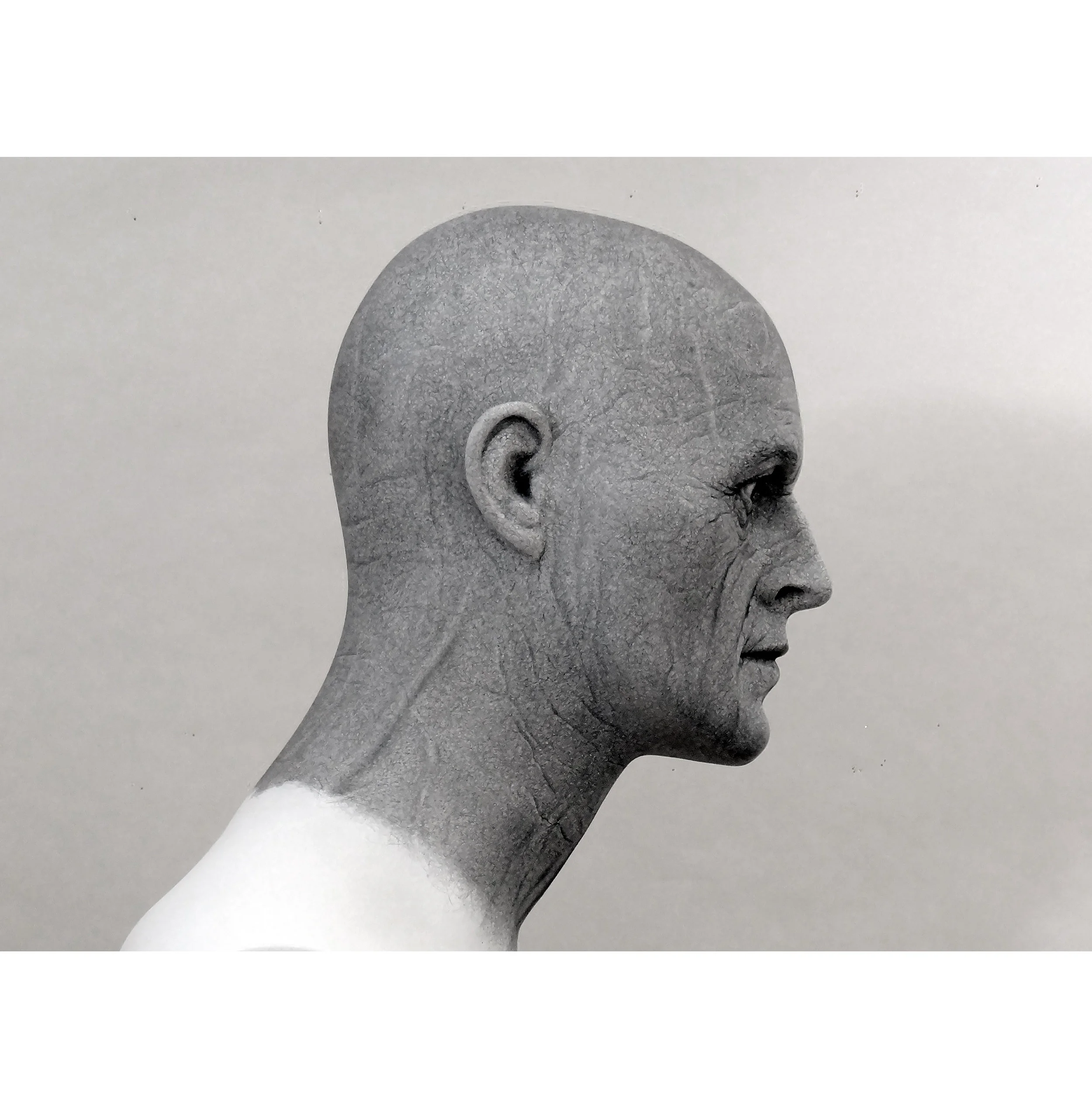 head wt tp bm.jpg