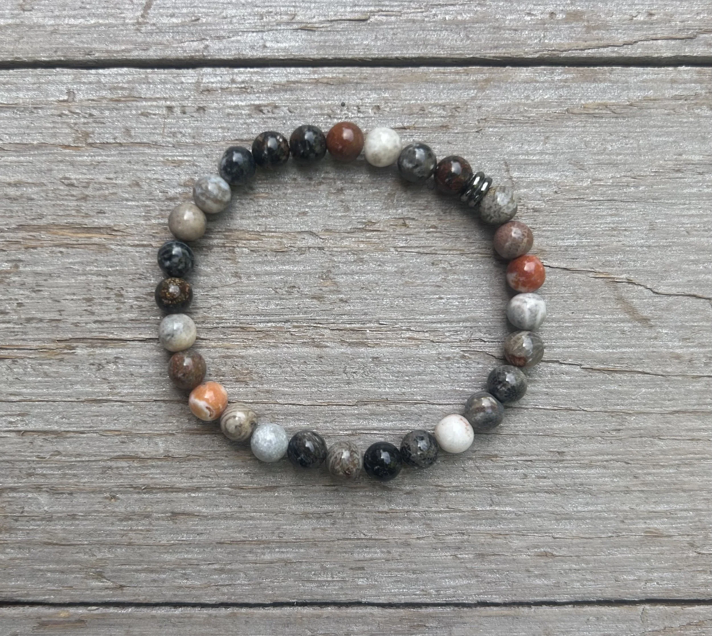 fossil coral main.jpg