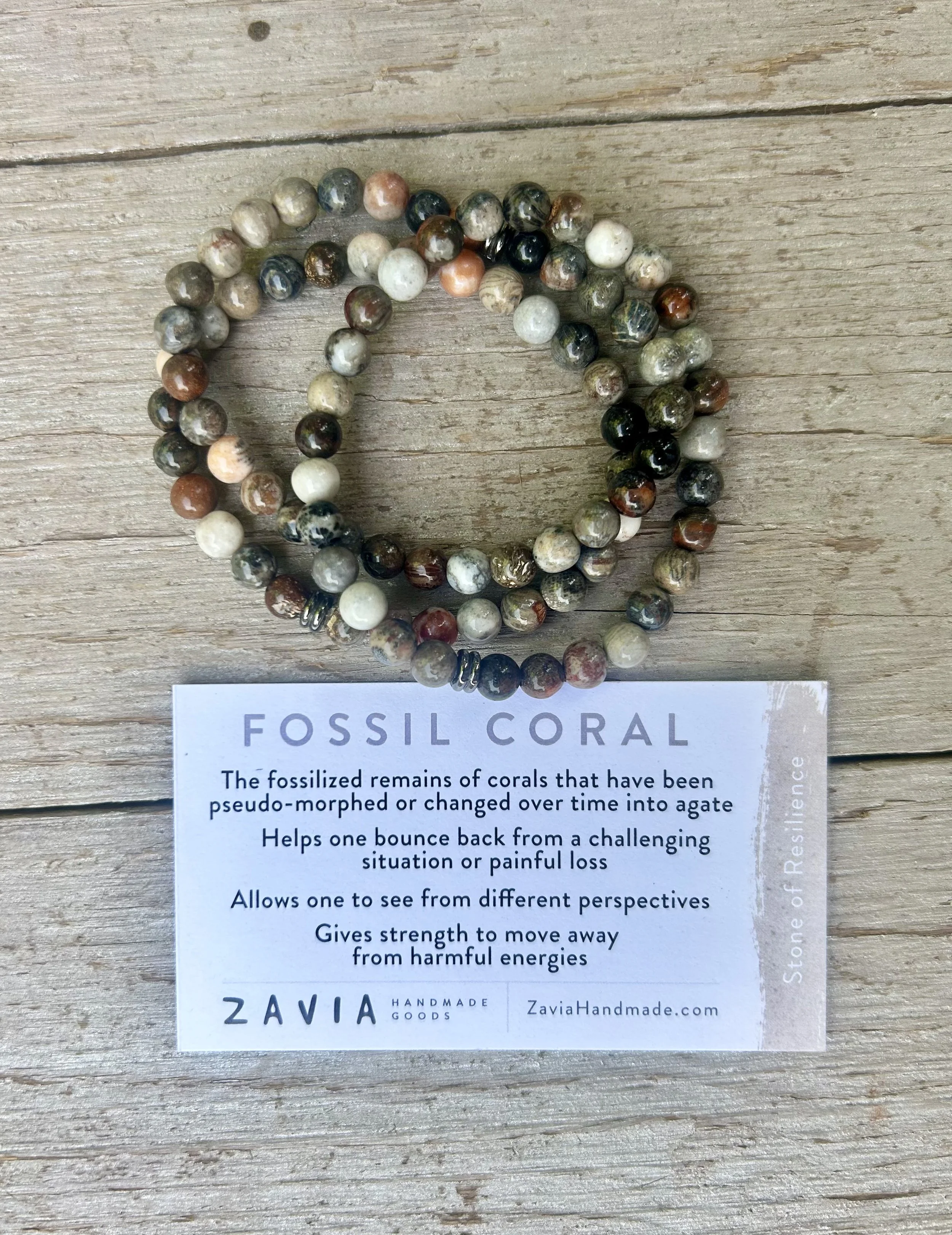 fossil with card.jpg