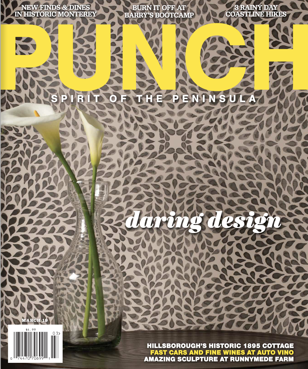 Punch Magazine