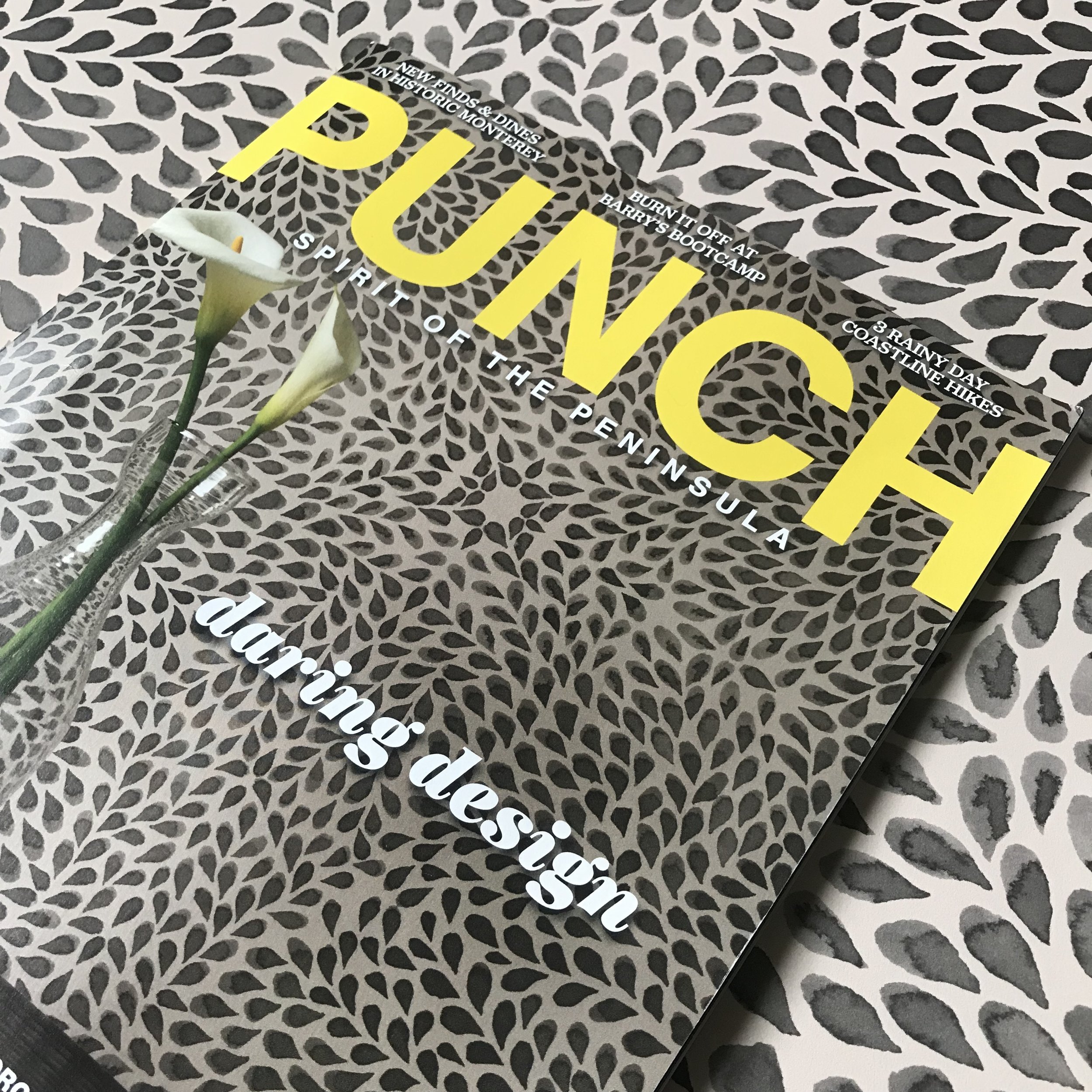  Alhambra makes the cover of Punch Magazine!