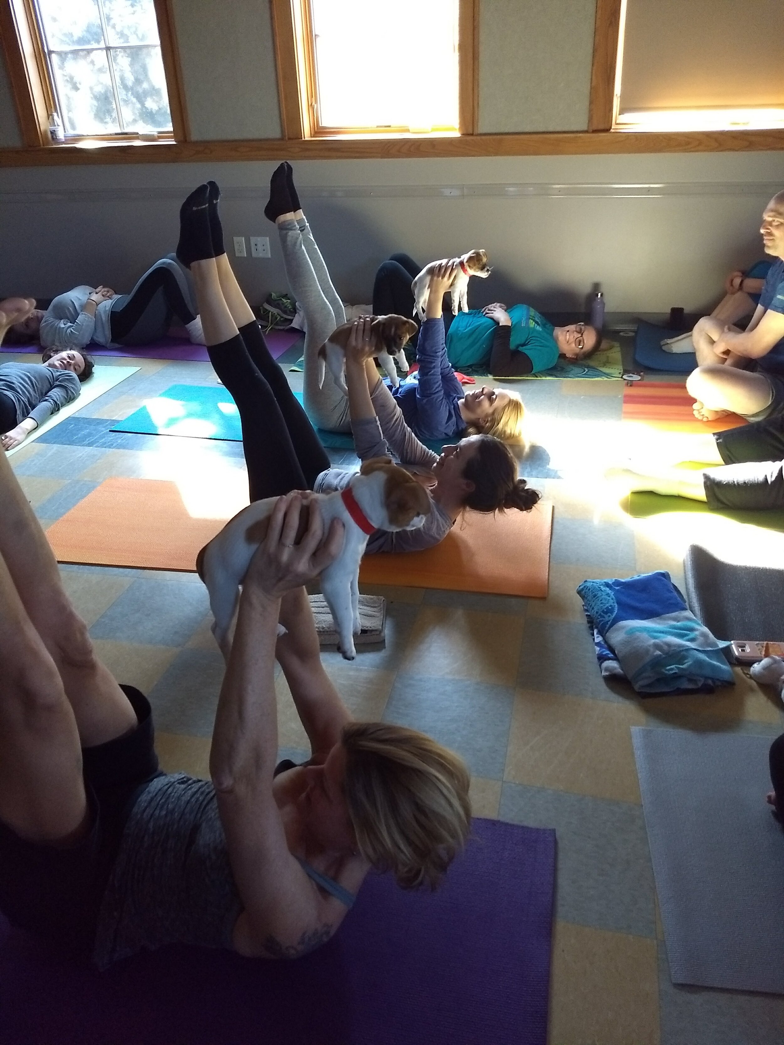 pilateswithpuppies.puppypilates3.13.18.jpg