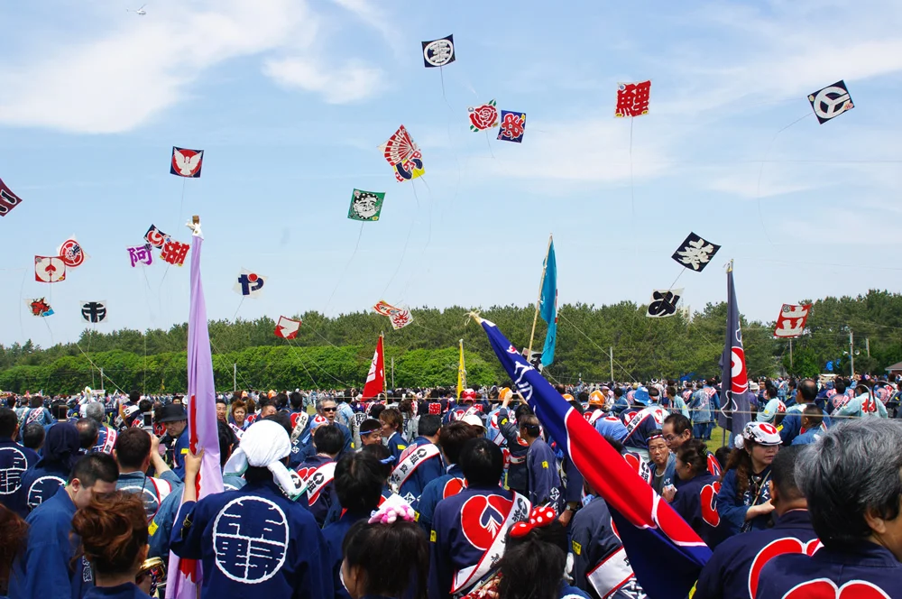 Kite Fight!