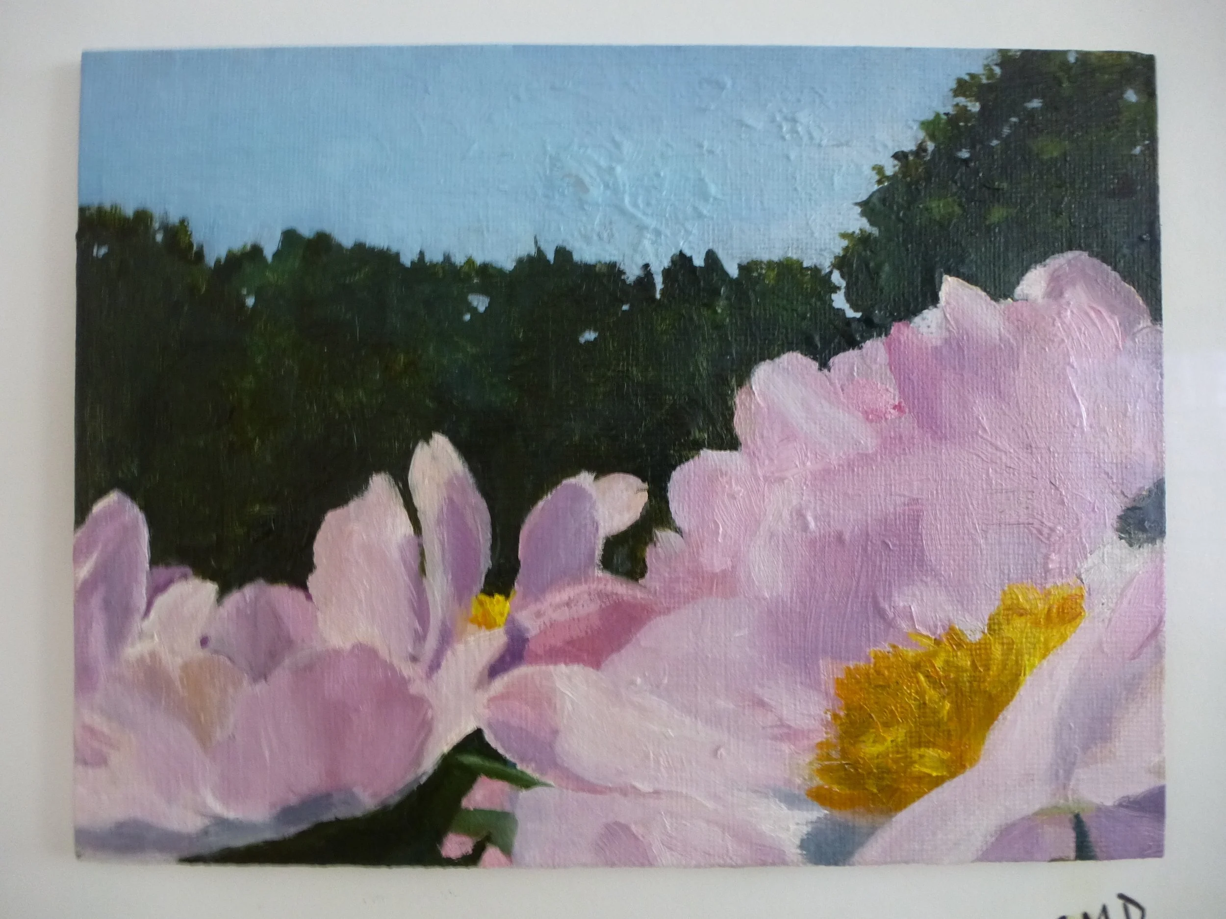 Peony Joy